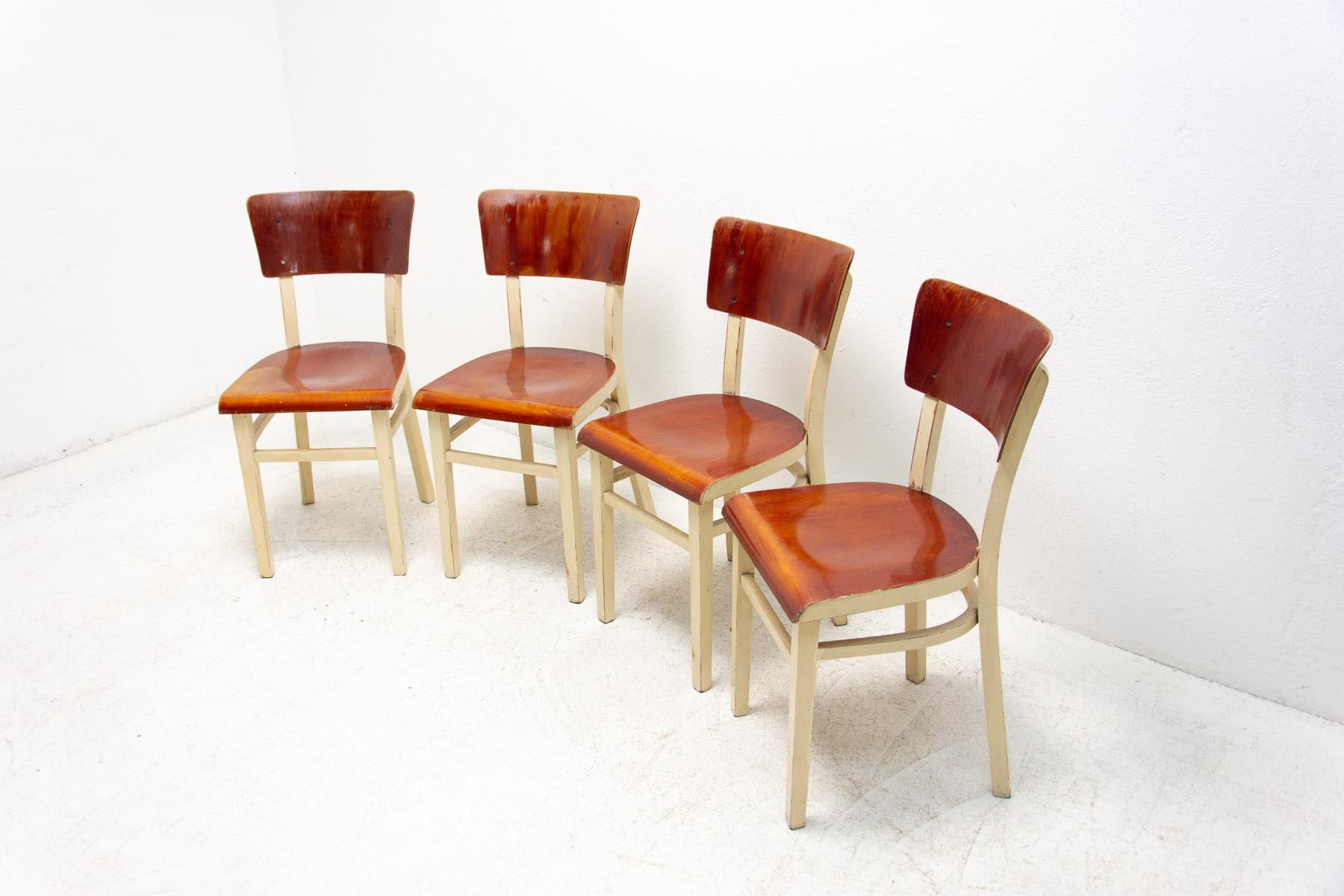 Dining Wooden Chairs, Czechoslovakia, 1950´s, Set of 4 1