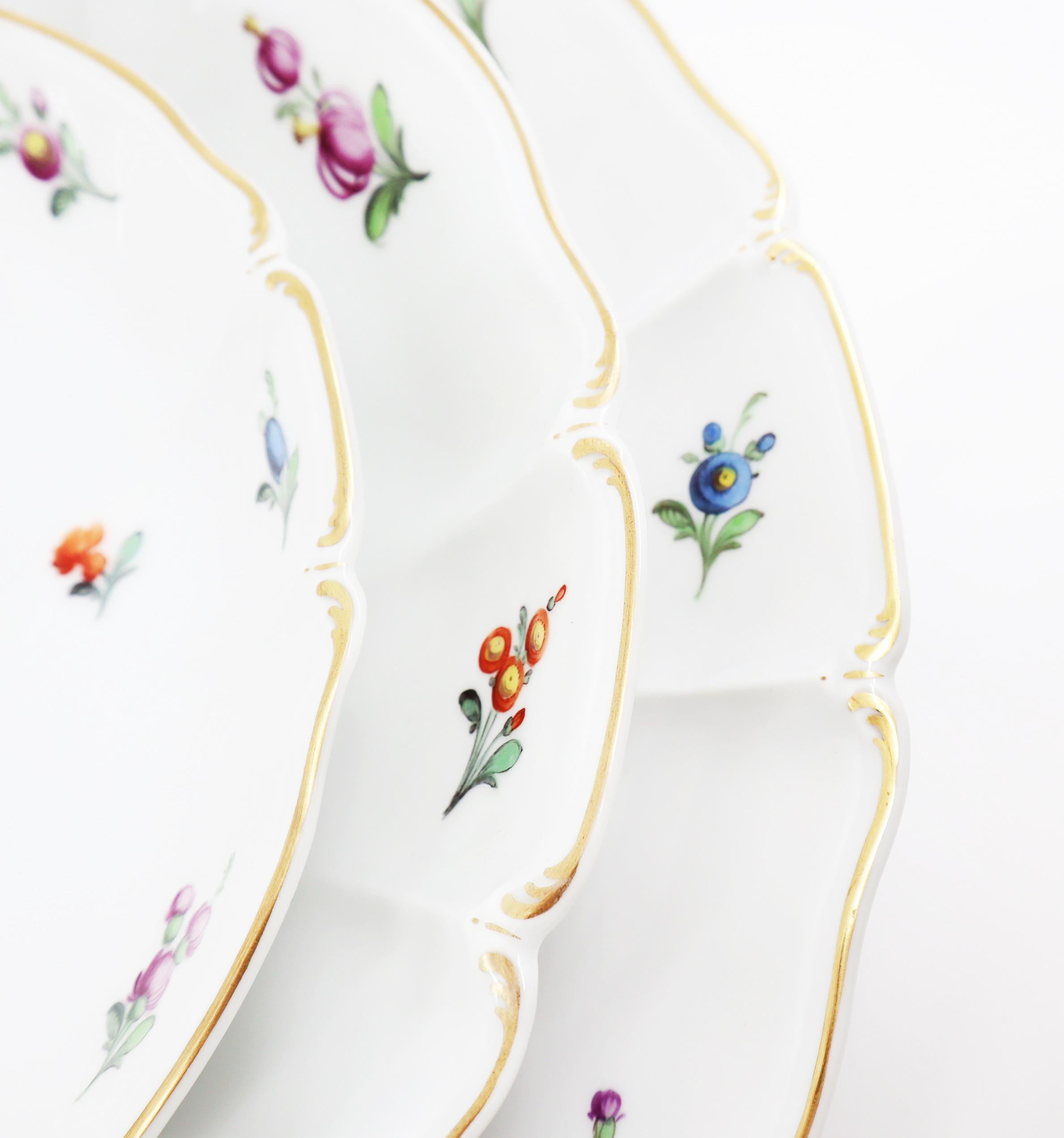 Dinner Service, 19th Century Porcelain, German, Hand Painted with Flowers Décor 2