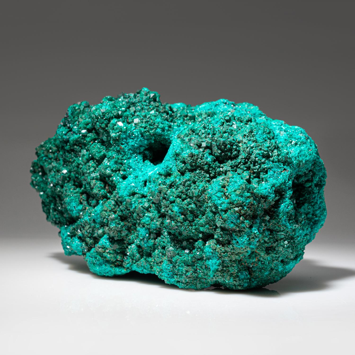 From (Tantara Mine), Katanga (Shaba) Province, Democratic Republic of the Congo

Crystallized mass of deep green dioptase with lustrous crystals lining the concave areas of the cluster. The dioptase crystals look beautiful transparent, vivid green