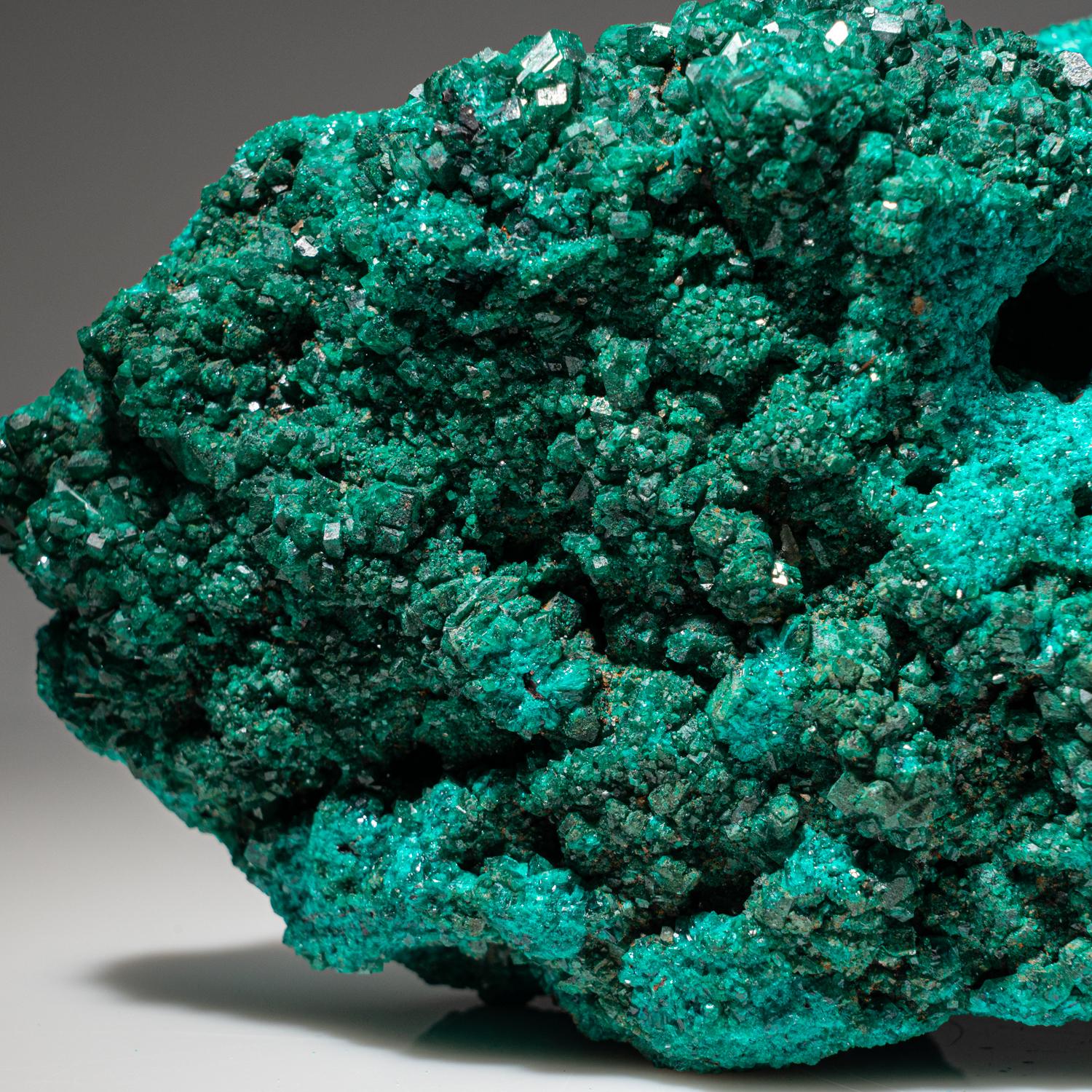 Dioptase from (Tantara Mine), Katanga (Shaba) Province, Democratic Republic of t In New Condition For Sale In New York, NY