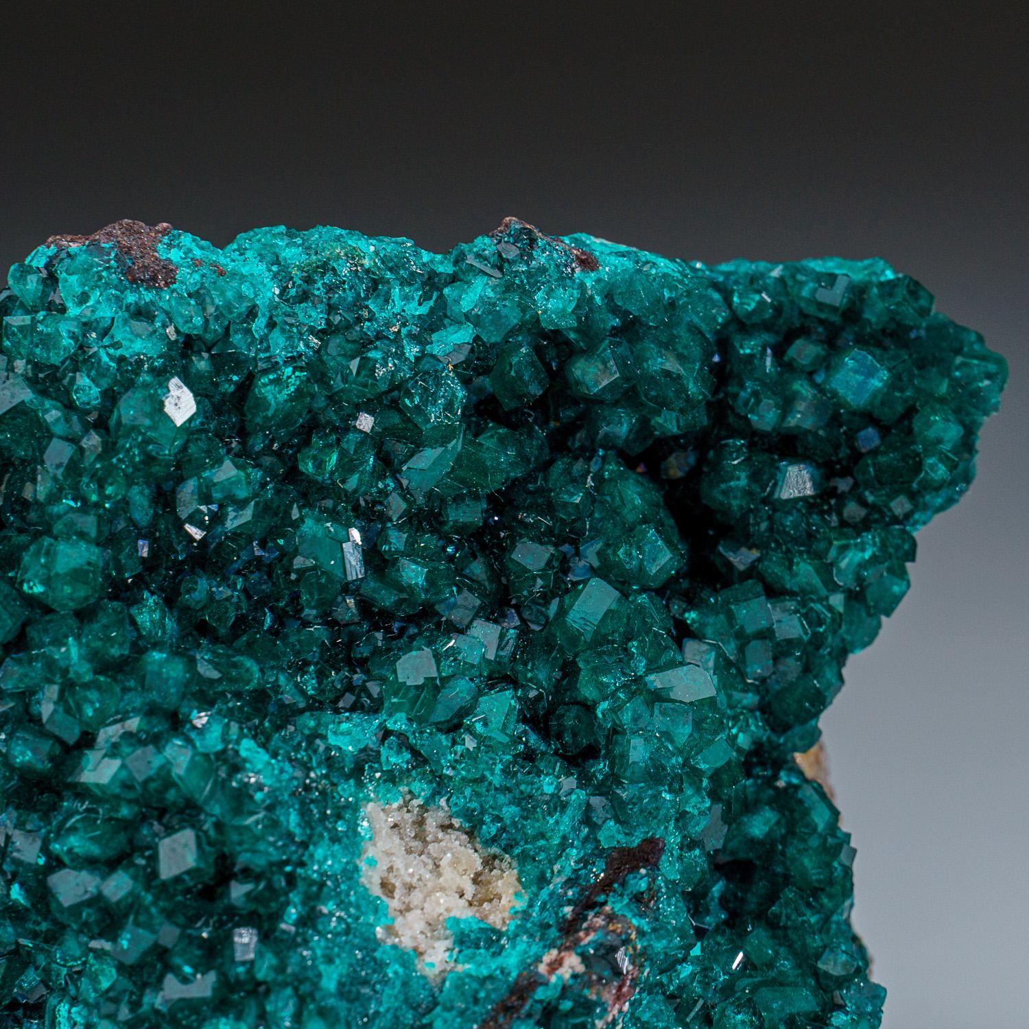 Dioptase from Tsumeb Mine, Otavi-Bergland District, Oshikoto, Namibia (240.8 gra In New Condition For Sale In New York, NY