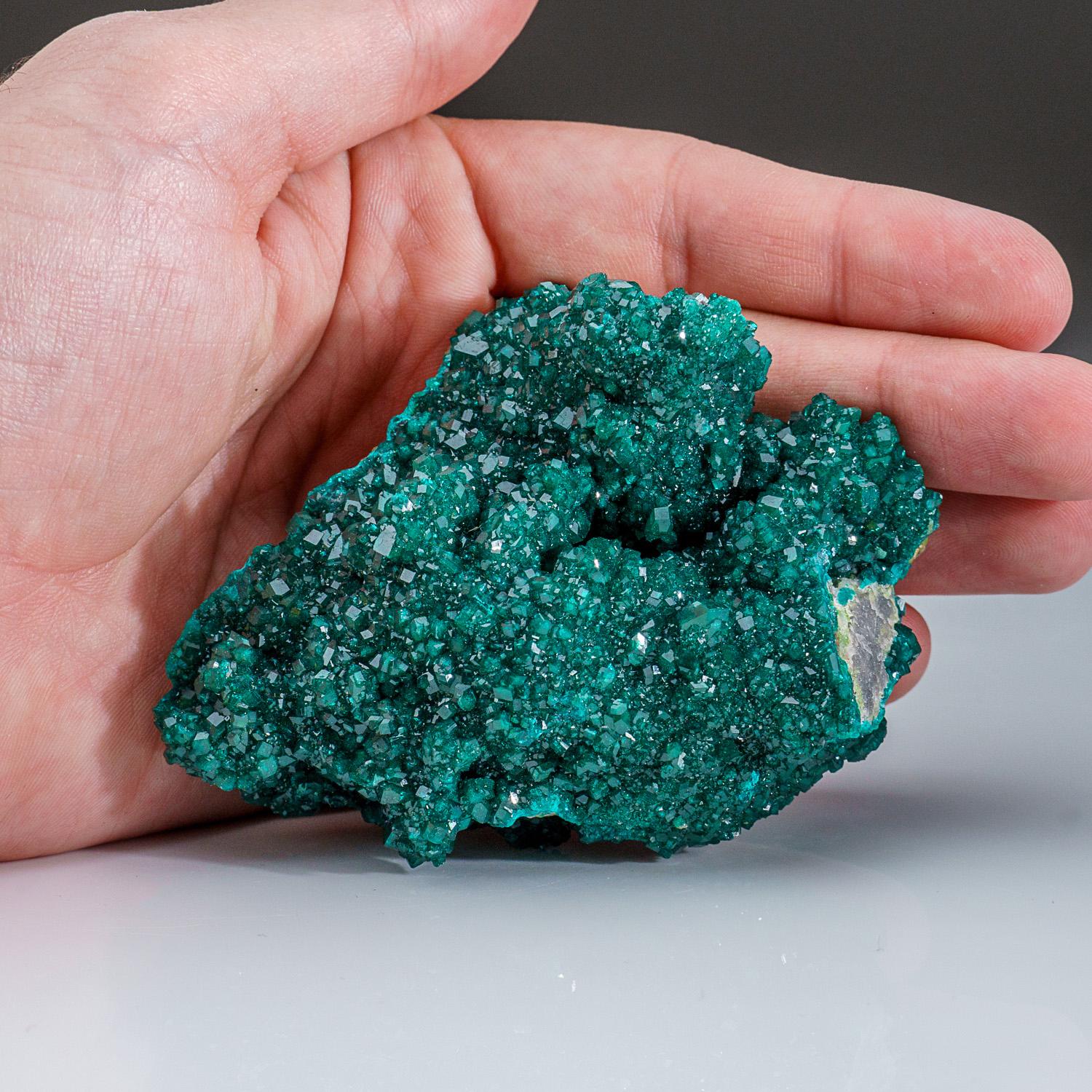From Tsumeb Mine, Otavi-Bergland District, Oshikoto, Namibia

Lustrous transparent deep-green dioptase crystals lining a shallow cavity in brown matrix. The dioptase crystals look beautiful transparent, vivid green color.

 

Weight: 265 grams,