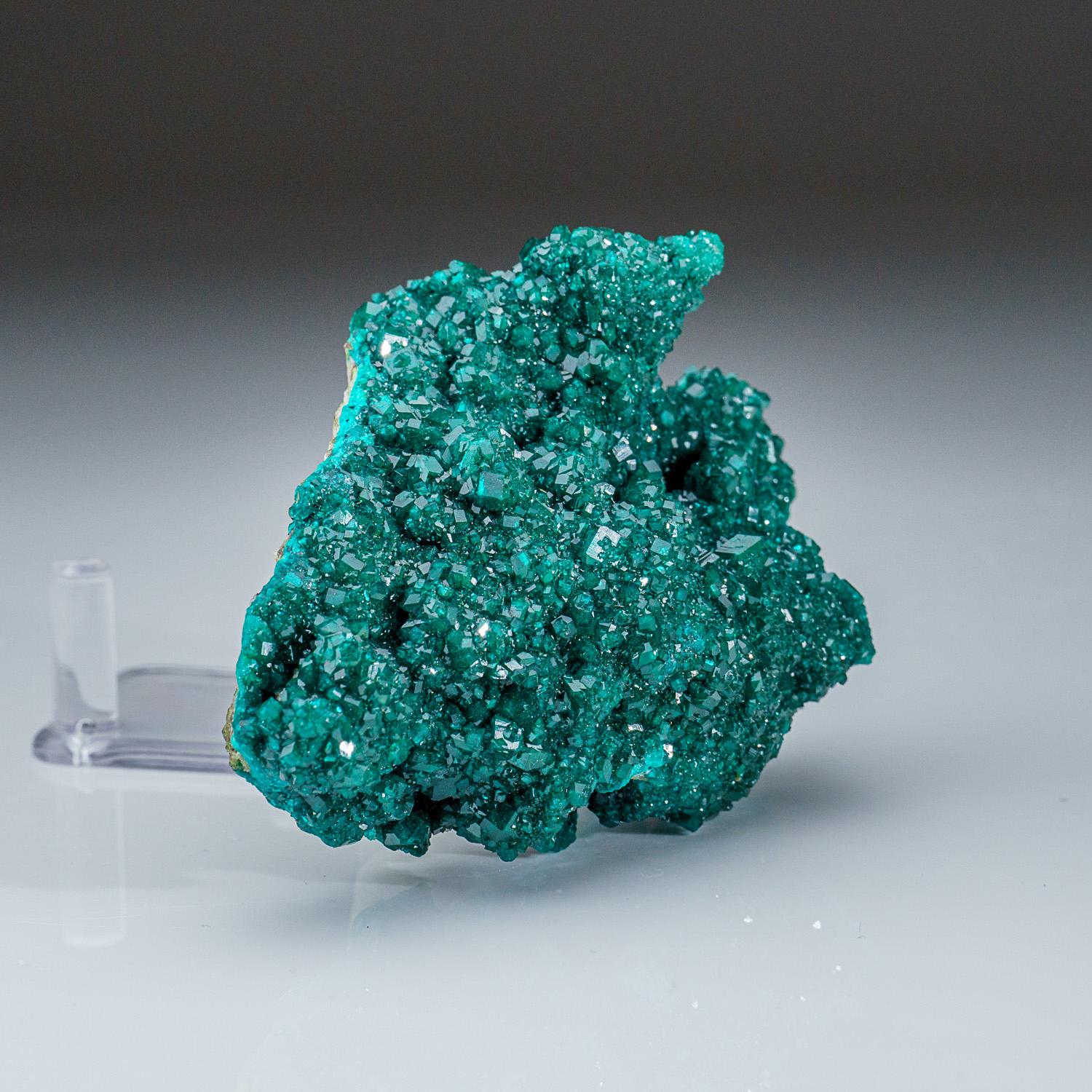 Dioptase from Tsumeb Mine, Otavi-Bergland District, Oshikoto, Namibia (265 grams In New Condition For Sale In New York, NY