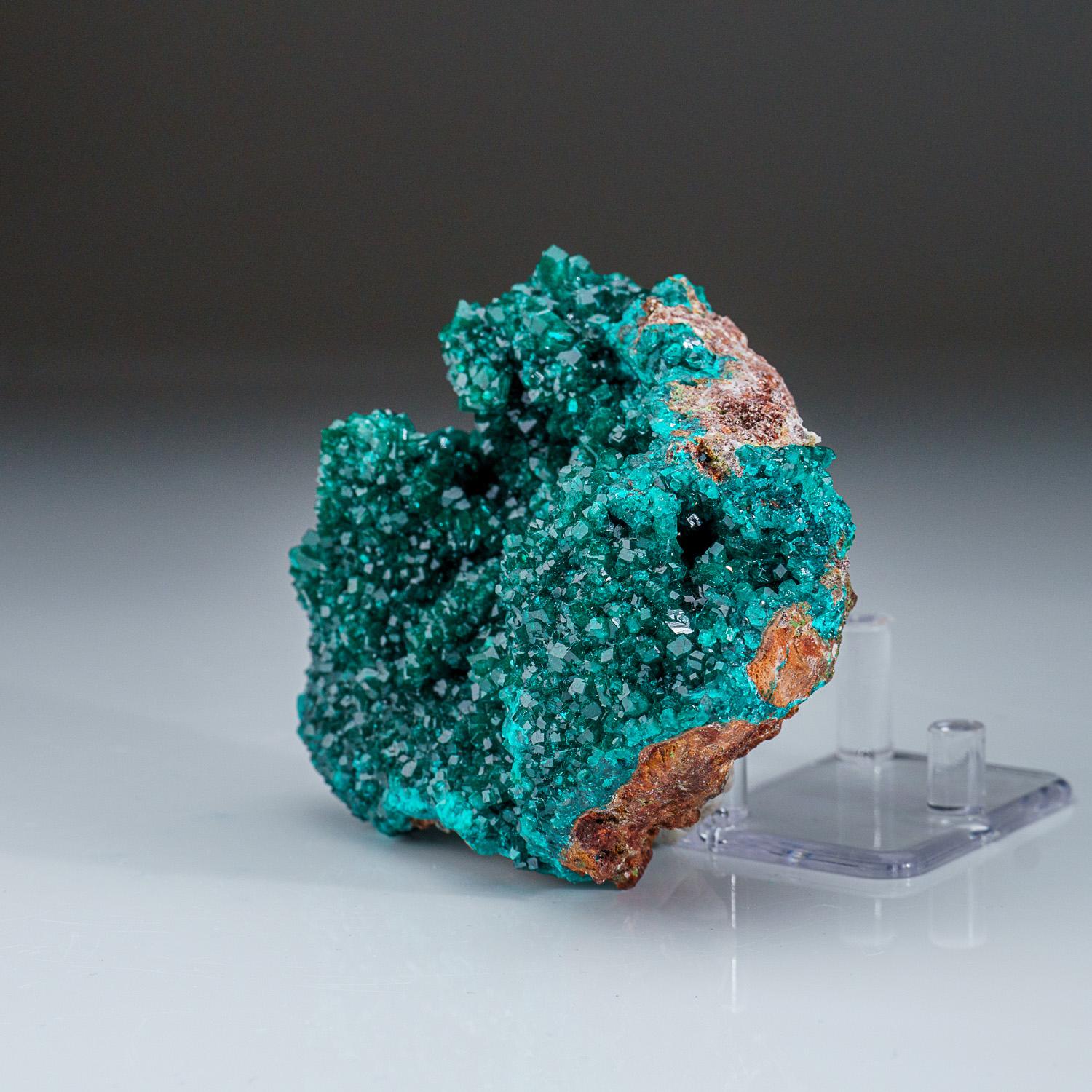 Dioptase from Tsumeb Mine, Otavi-Bergland District, Oshikoto, Namibia (385.3 gra In New Condition For Sale In New York, NY