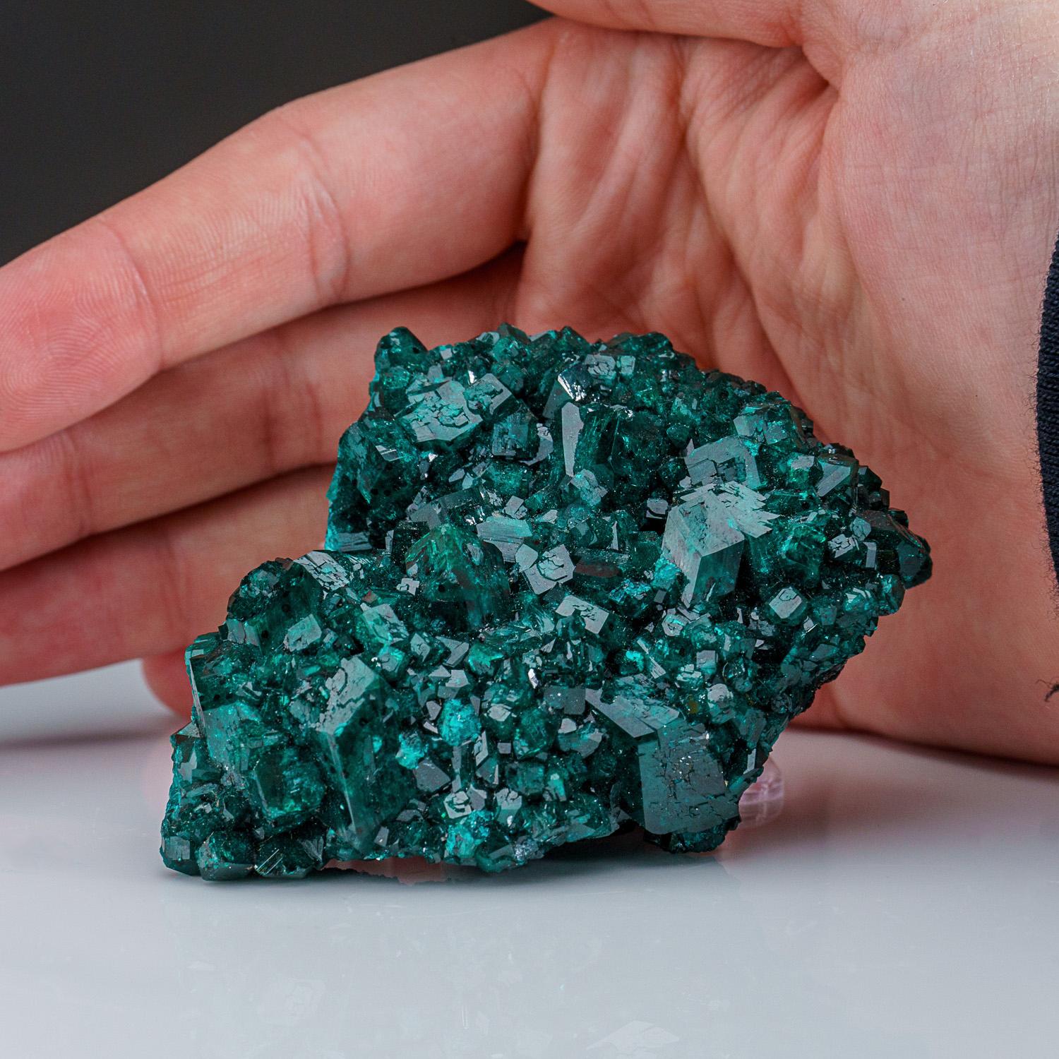 From Tsumeb Mine, Otavi-Bergland District, Oshikoto, Namibia

Bright gemmy, wildly lustrous and rich cluster of green dioptase crystals. The dioptase crystals are beautiful transparent, vivid green color.

 

Weight: 168 grams, Dimensions: 3.5 x 1 x