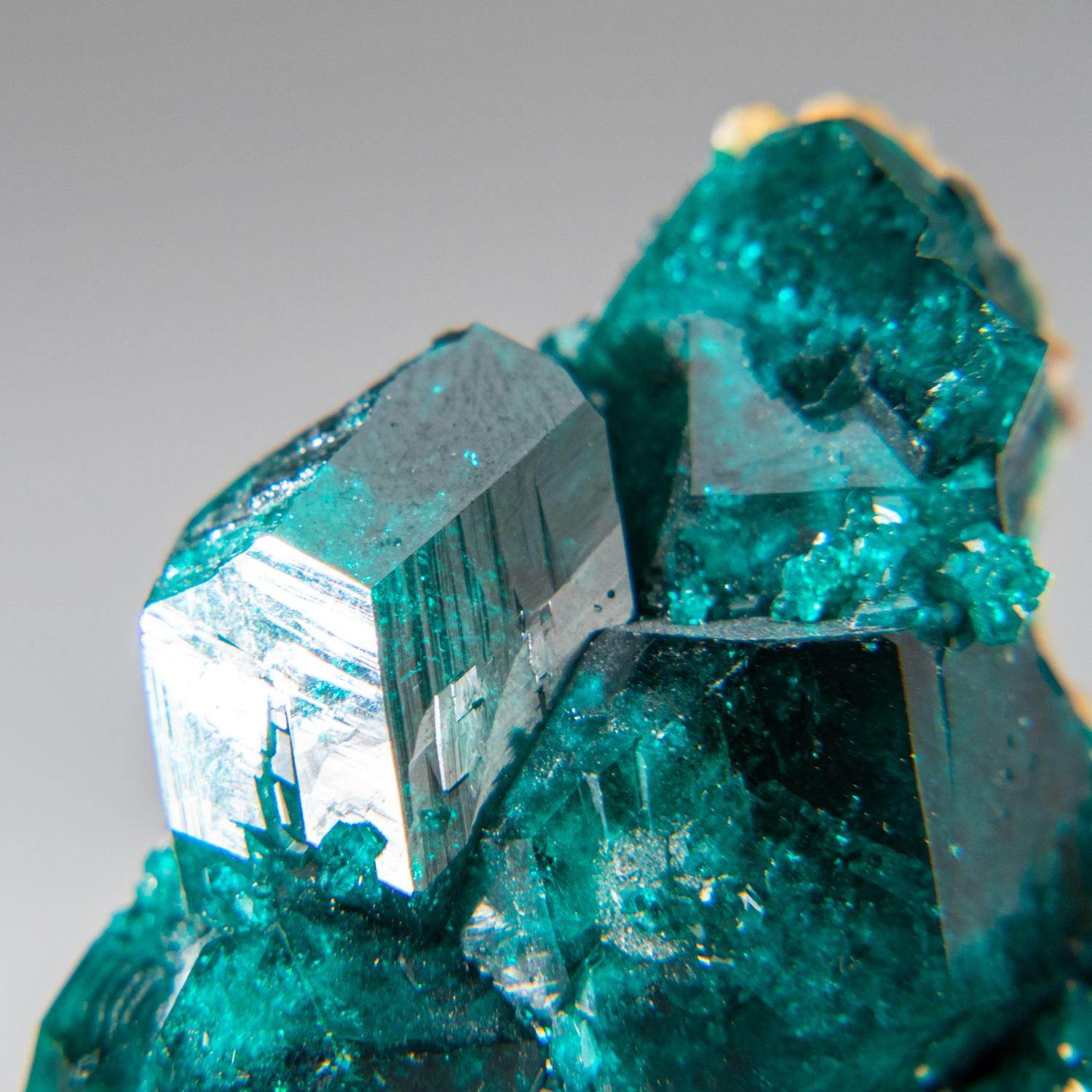 From Tsumeb Mine, Otavi-Bergland District, Oshikoto, Namibia

Lustrous transparent deep-green dioptase crystals lining a shallow cavity in brown matrix. The dioptase crystals look beautiful transparent, vivid green color.

 

Weight: 31.3 grams,