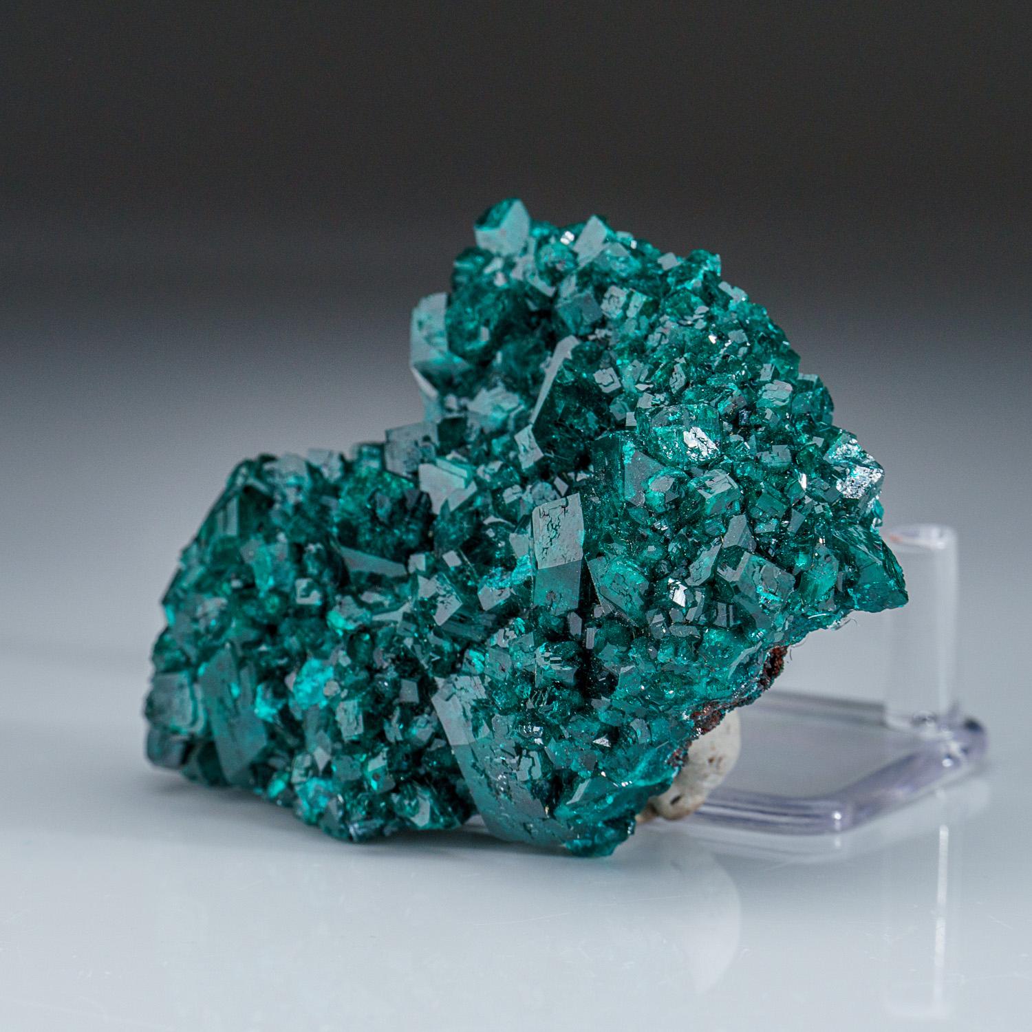 Dioptase from Tsumeb Mine, Otavi-Bergland District, Oshikoto, Namibia  In New Condition For Sale In New York, NY