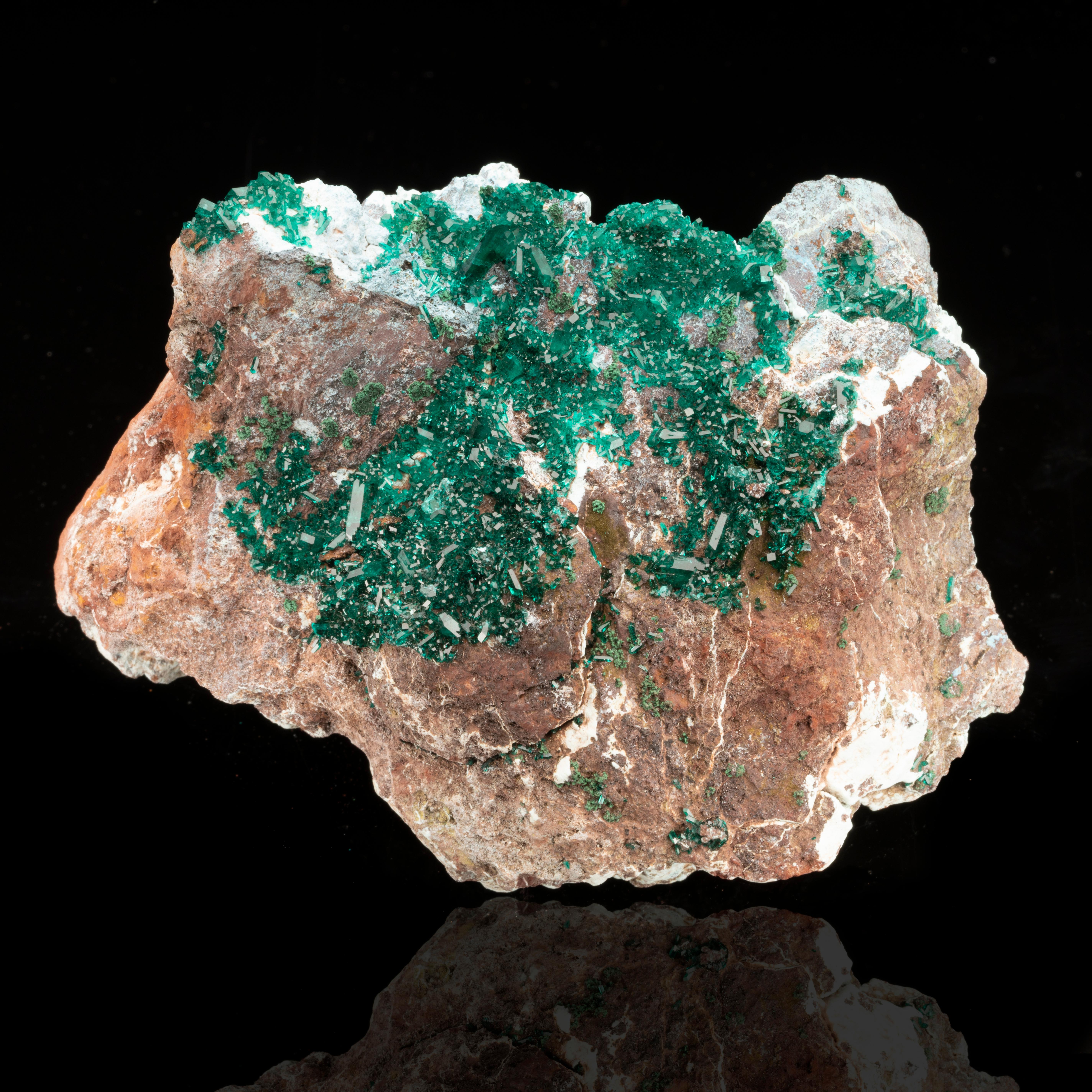 This specimen boasts a glistening coating of beautifully gemmy, emerald green dioptase crystals on matrix. The name “dioptase” comes from Greek and references the visibility of the twin cleavage plains within the startlingly translucent crystals of