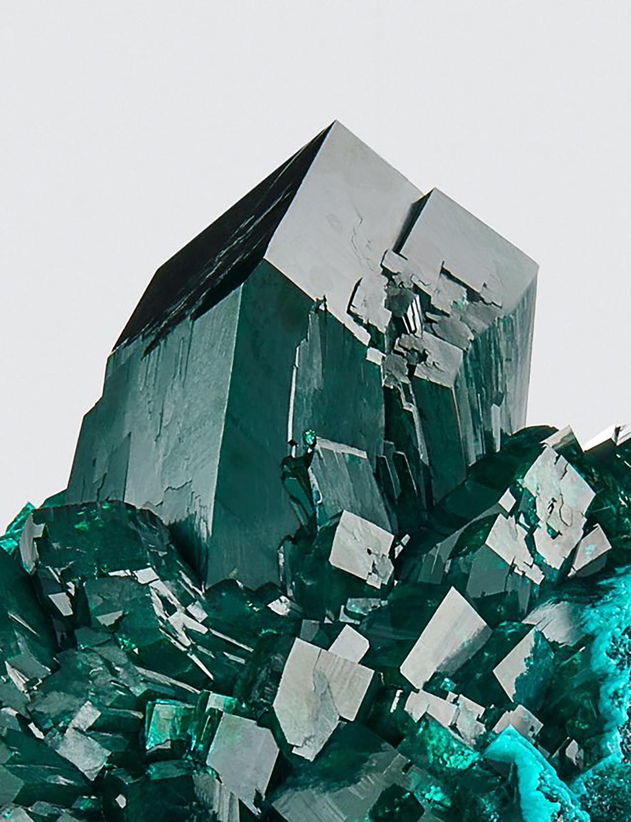 Dioptase, Omaue Mine, Kaokoveld Plateau, Kunene region, Namibia
Measures: 8.5 cm tall x 7 cm wide

Dioptase, once believed to be emerald when first encountered, is amongst the most vividly colored species. Large gem crystals, such as these, are