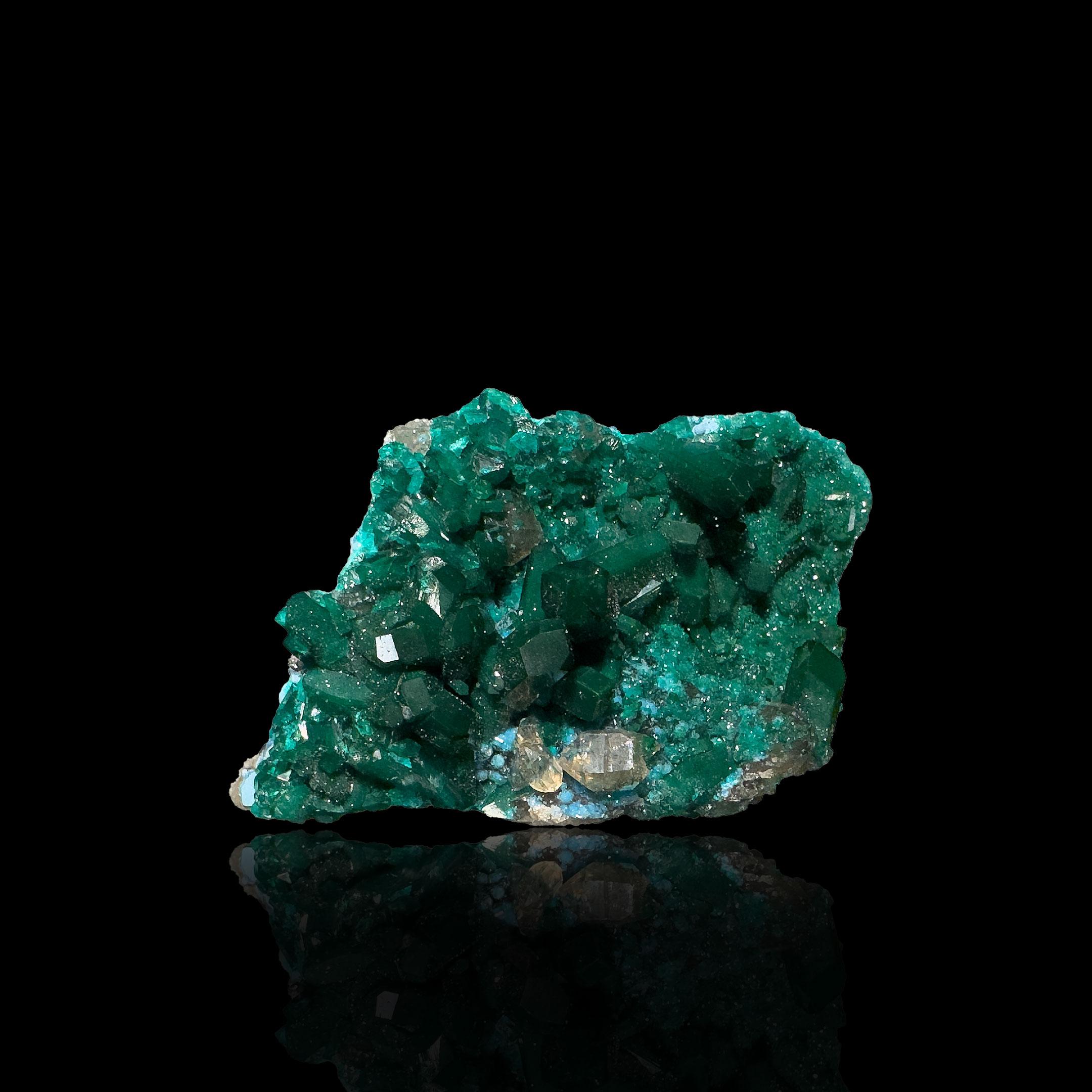 This specimen presents an exceptional association of Dioptase, Calcite, and Plancheite on a single matrix. Richly saturated emerald-green Dioptase crystals rise in sharp, lustrous terminations with excellent translucency, their intensity standing