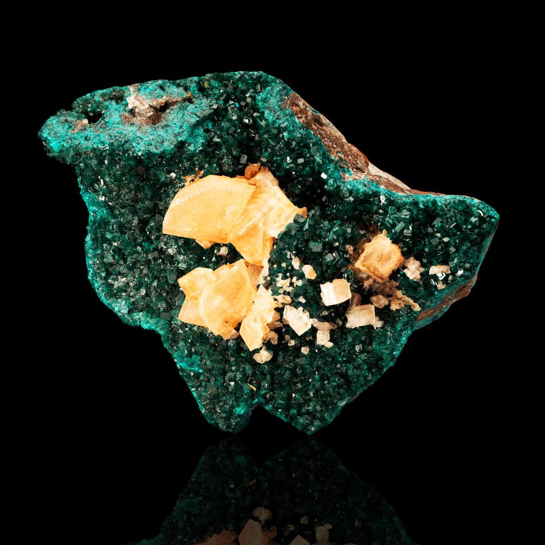 This lush, lustrous bed of fully formed, fully terminated, moderately sized dioptase crystals with a deep emerald color is accented by large, beautifully gemmy golden calcite crystals growing with the dioptase. From the DRC - one of two locations