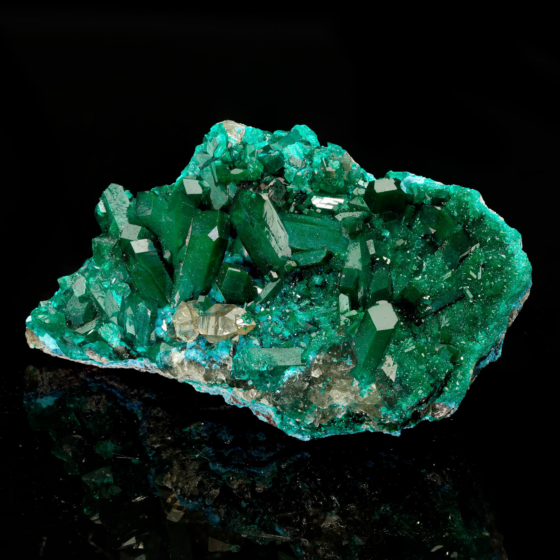 Este espécimen de vibrante contraste muestra cristales de Dioptasa de tamaño moderado y color verde esmeralda que crecen sobre una matriz de Calcita lustrosamente cristalizada, acentuada con raras formaciones de Plancheíta de color azul empolvado.