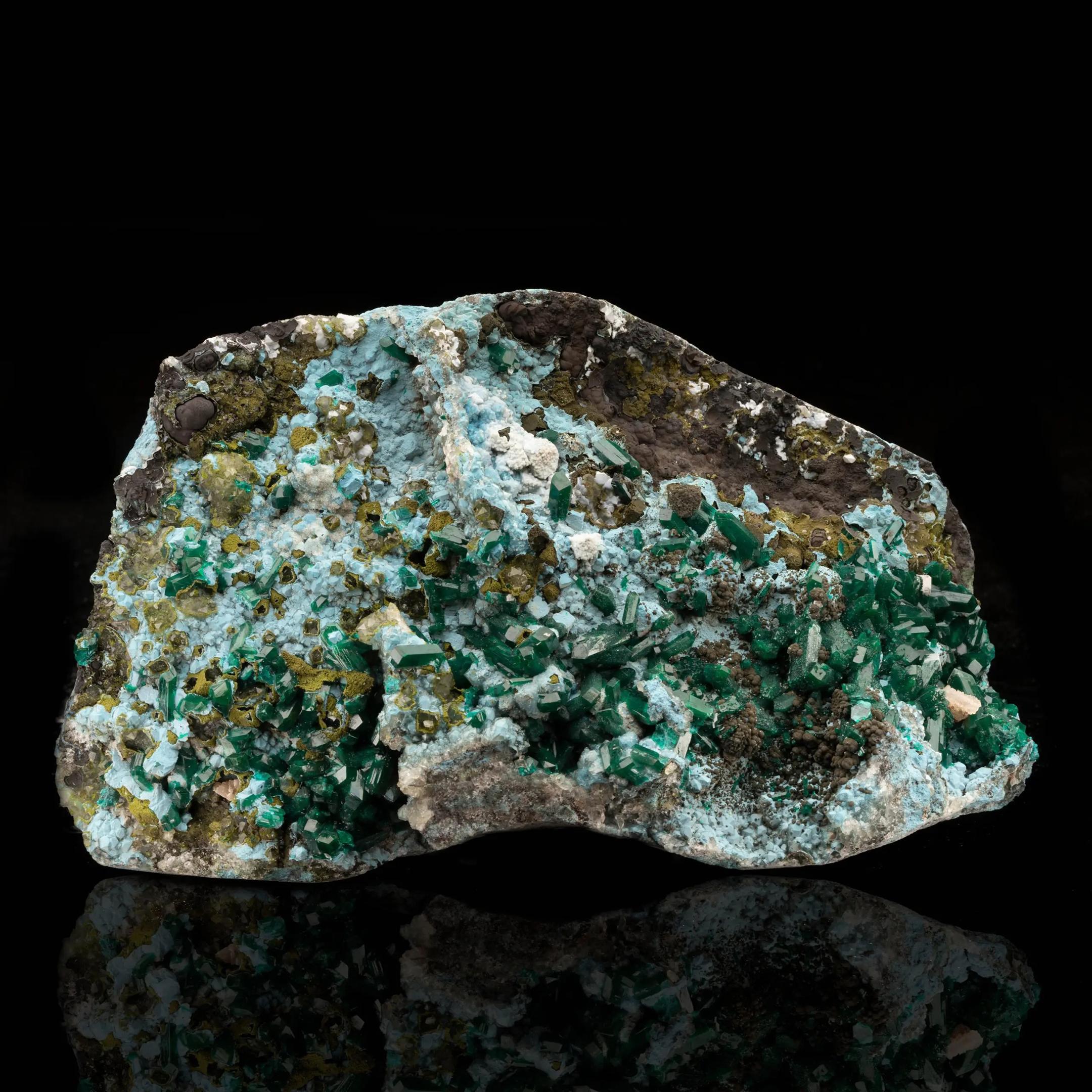 Dieses auffällige Exemplar aus der Demokratischen Republik Kongo zeigt eine hervorragende multimineralische Assoziation, die in der Mineralienwelt selten anzutreffen ist. Scharfe, glasige, smaragdgrüne Dioptaskristalle dominieren das Stück, das auf