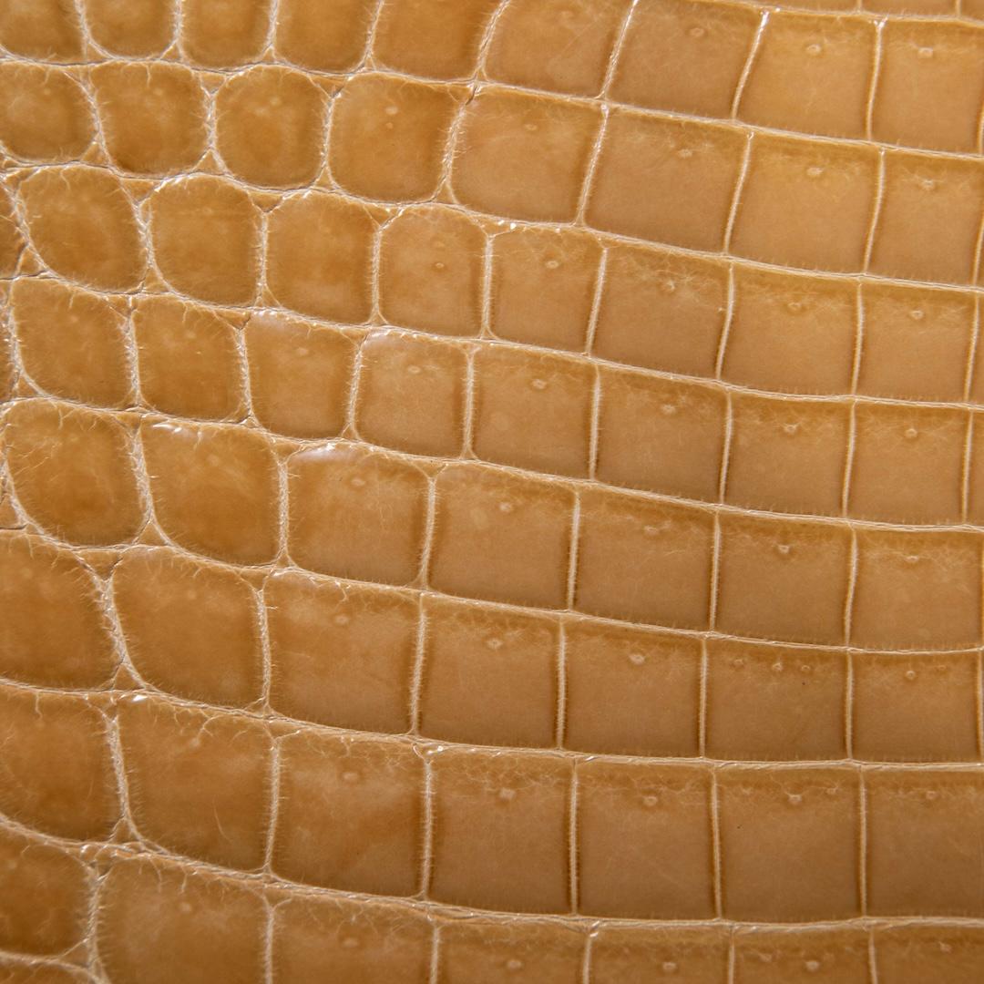 Women's Dior 2012 Camel Croc Leather Lady Dior Handbag For Sale