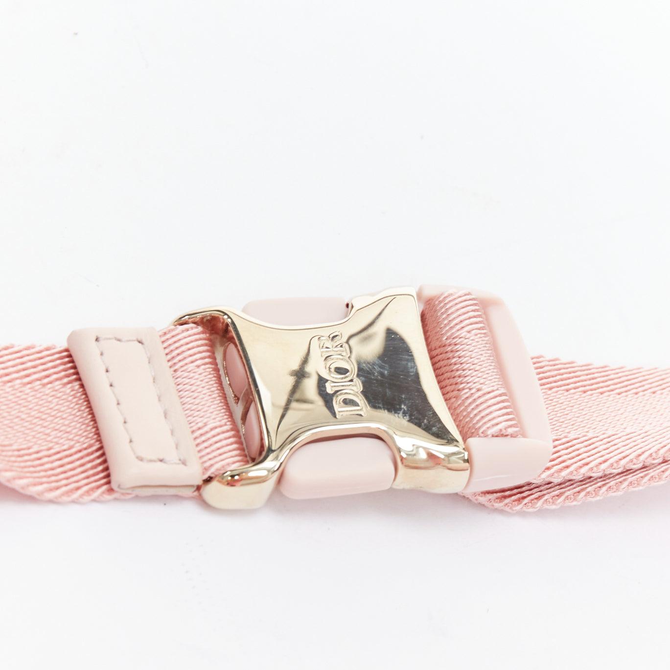DIOR 2022 pink Toile De Jouy print gold logo canvas belt bag 1
