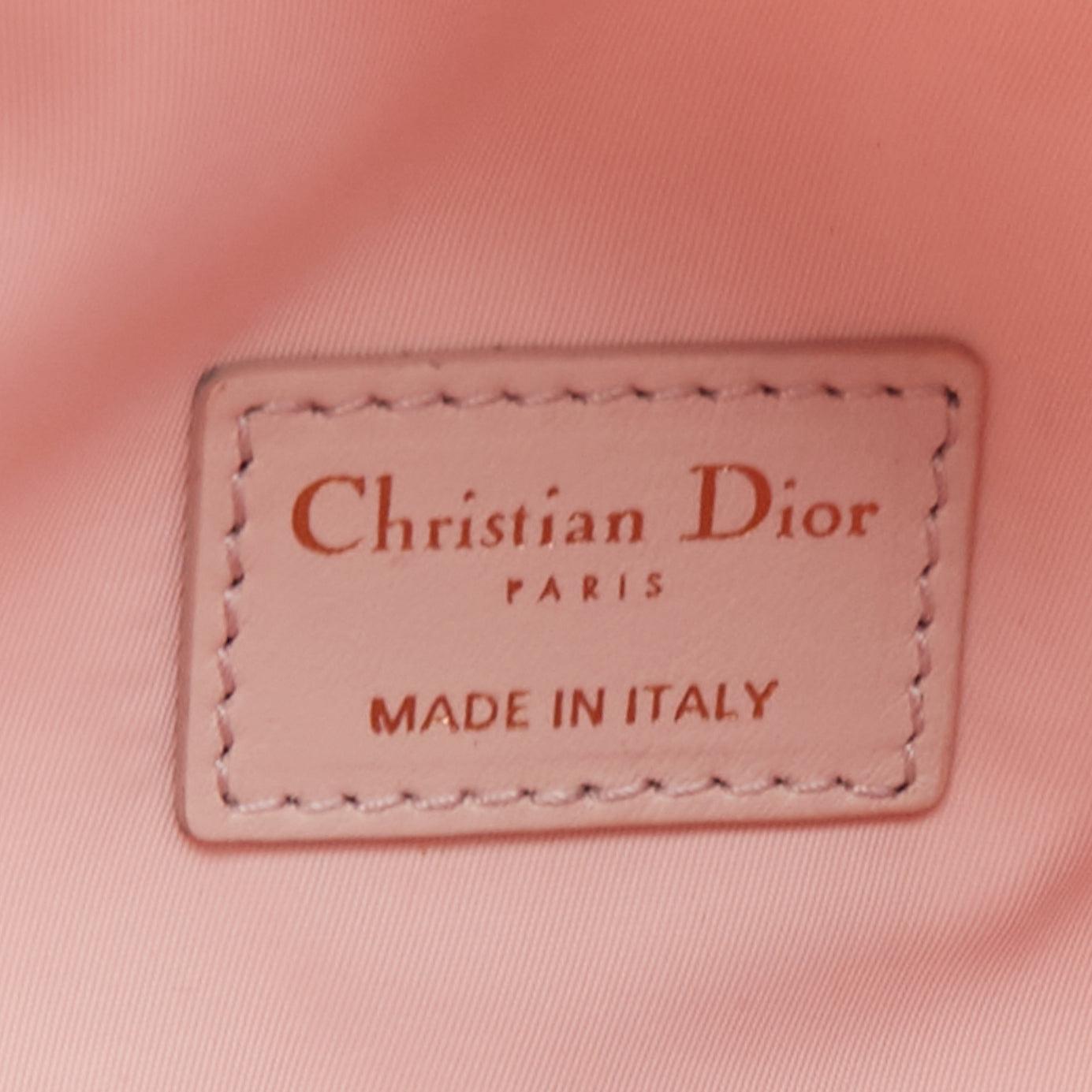 DIOR 2022 pink Toile De Jouy print gold logo canvas belt bag 3