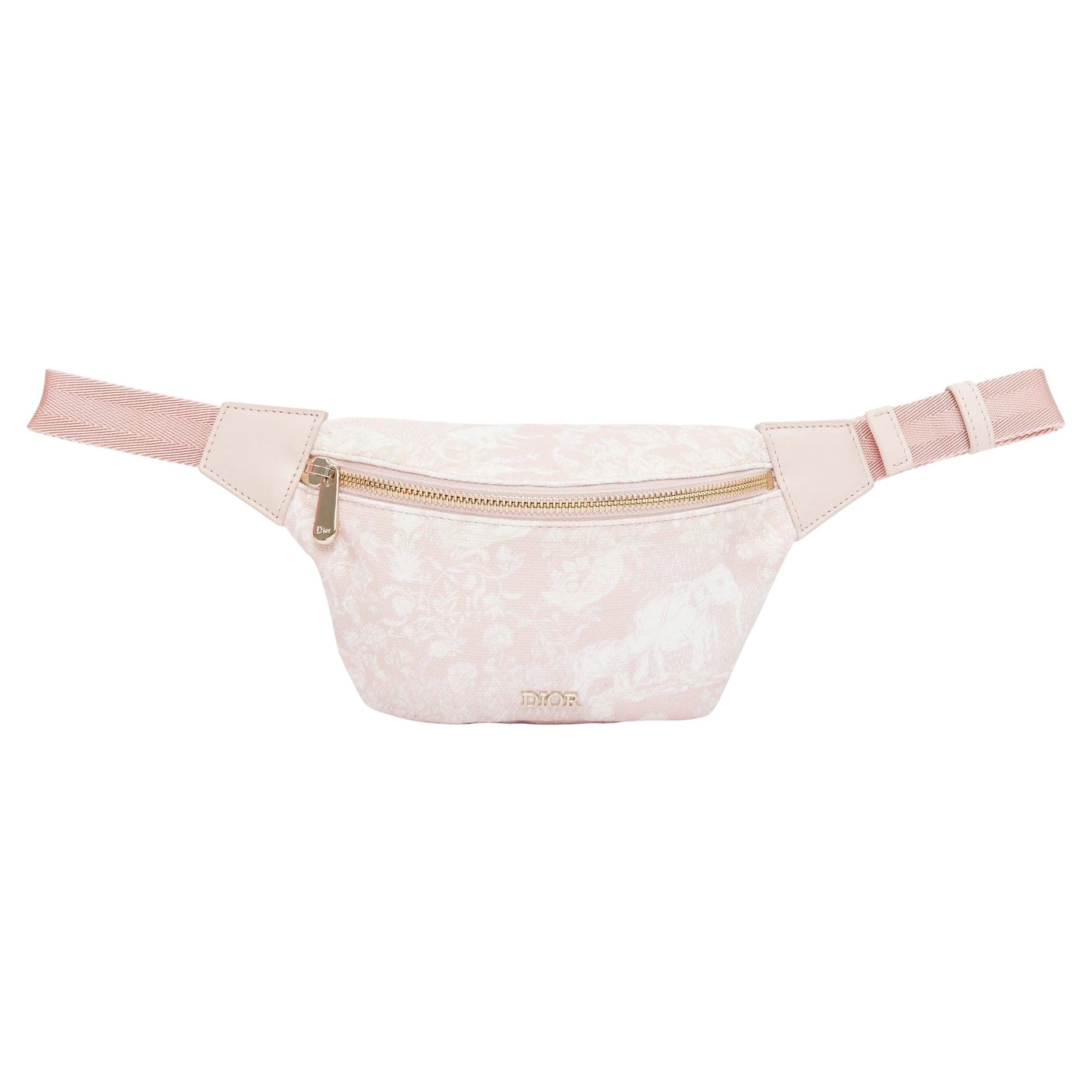 DIOR 2022 pink Toile De Jouy print gold logo canvas belt bag