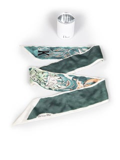 Dior Abstract Printed Twilly Scarf
