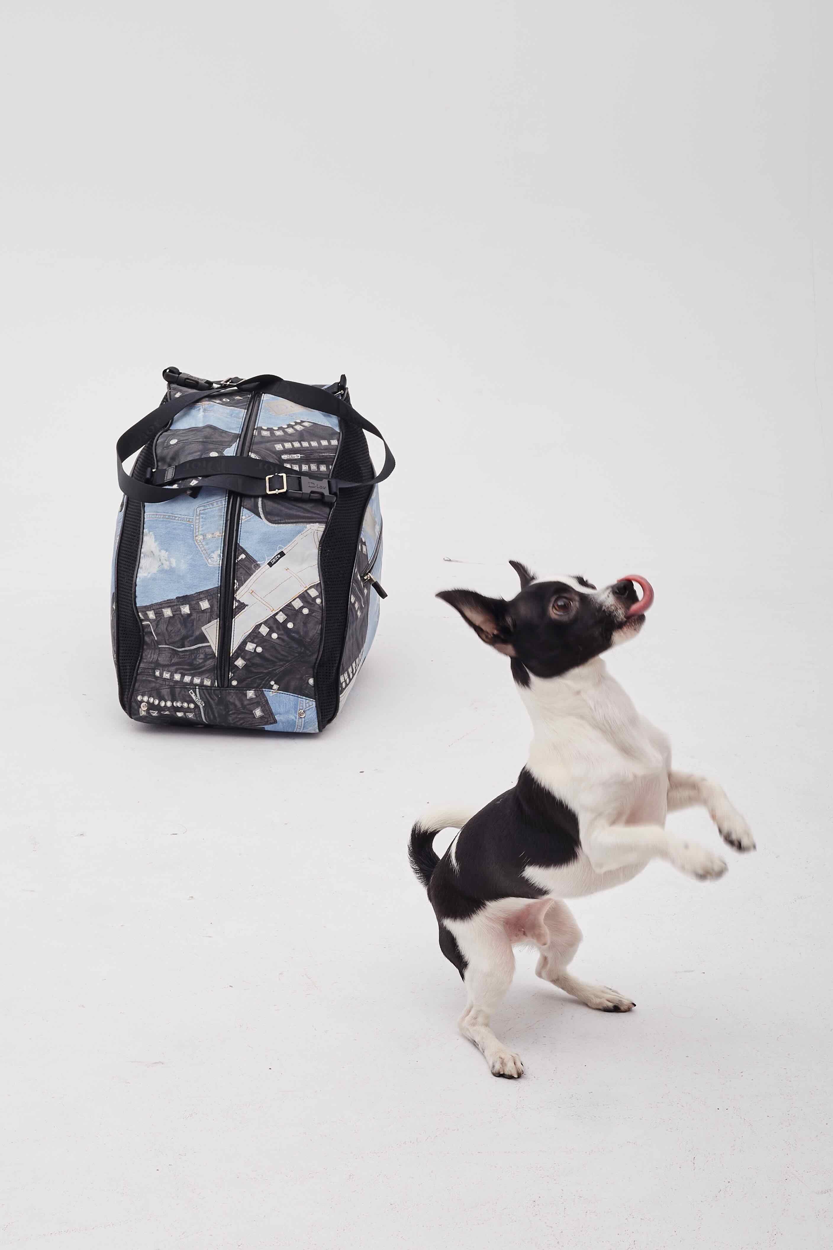 Dior Black And Blue Denim Patches Dog Carrier Travel Bag For Sale 8
