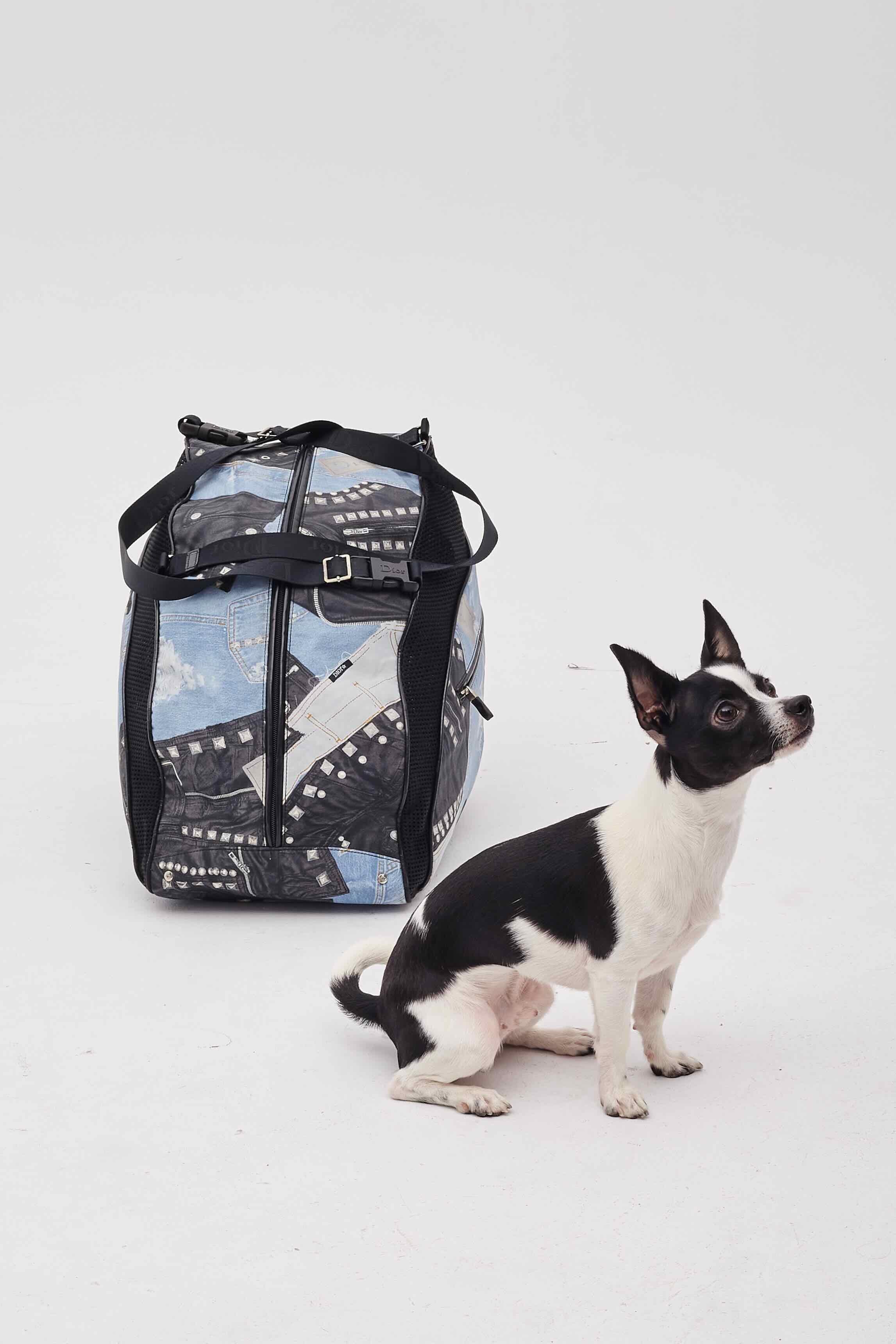 Dior Black And Blue Denim Patches Dog Carrier Travel Bag For Sale 9