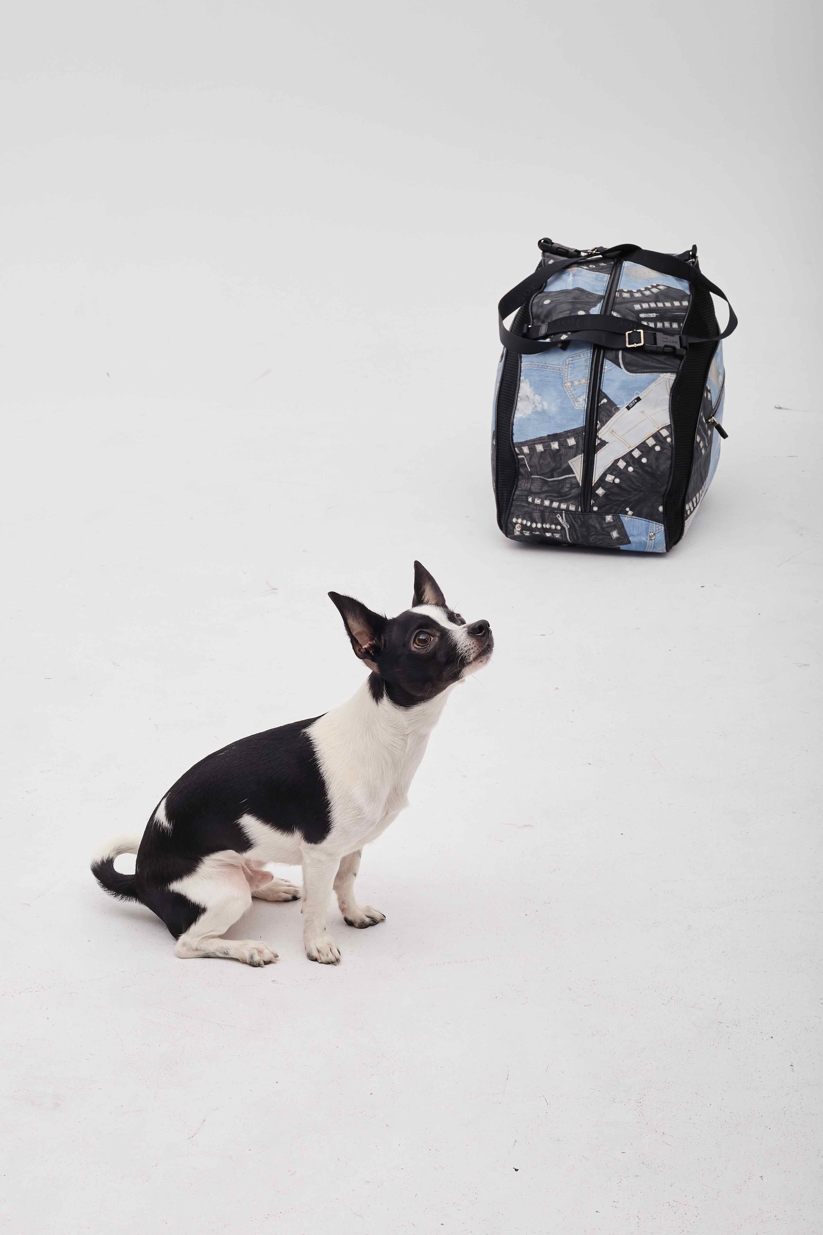 Dior Black And Blue Denim Patches Dog Carrier Travel Bag For Sale 10