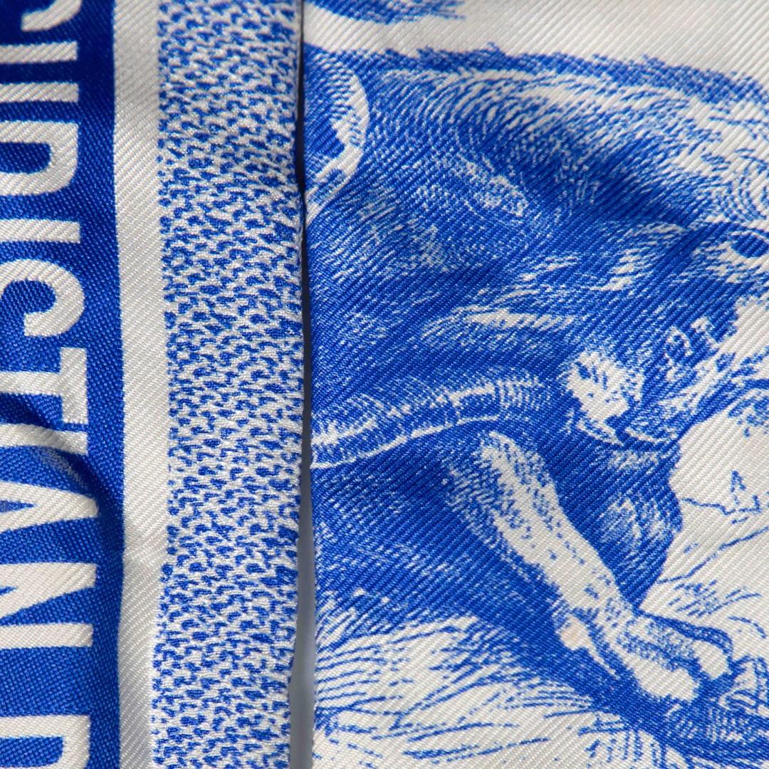 Women's Dior Blue Silk Toile De Jouy Twilly Scarf