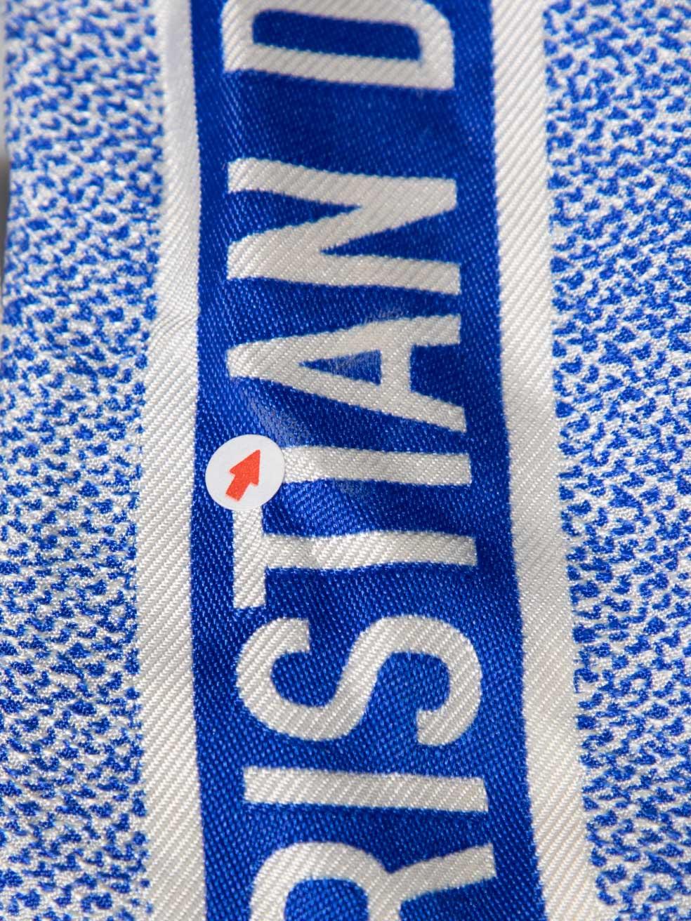 Dior Blue Silk Toile De Jouy Twilly Scarf 1