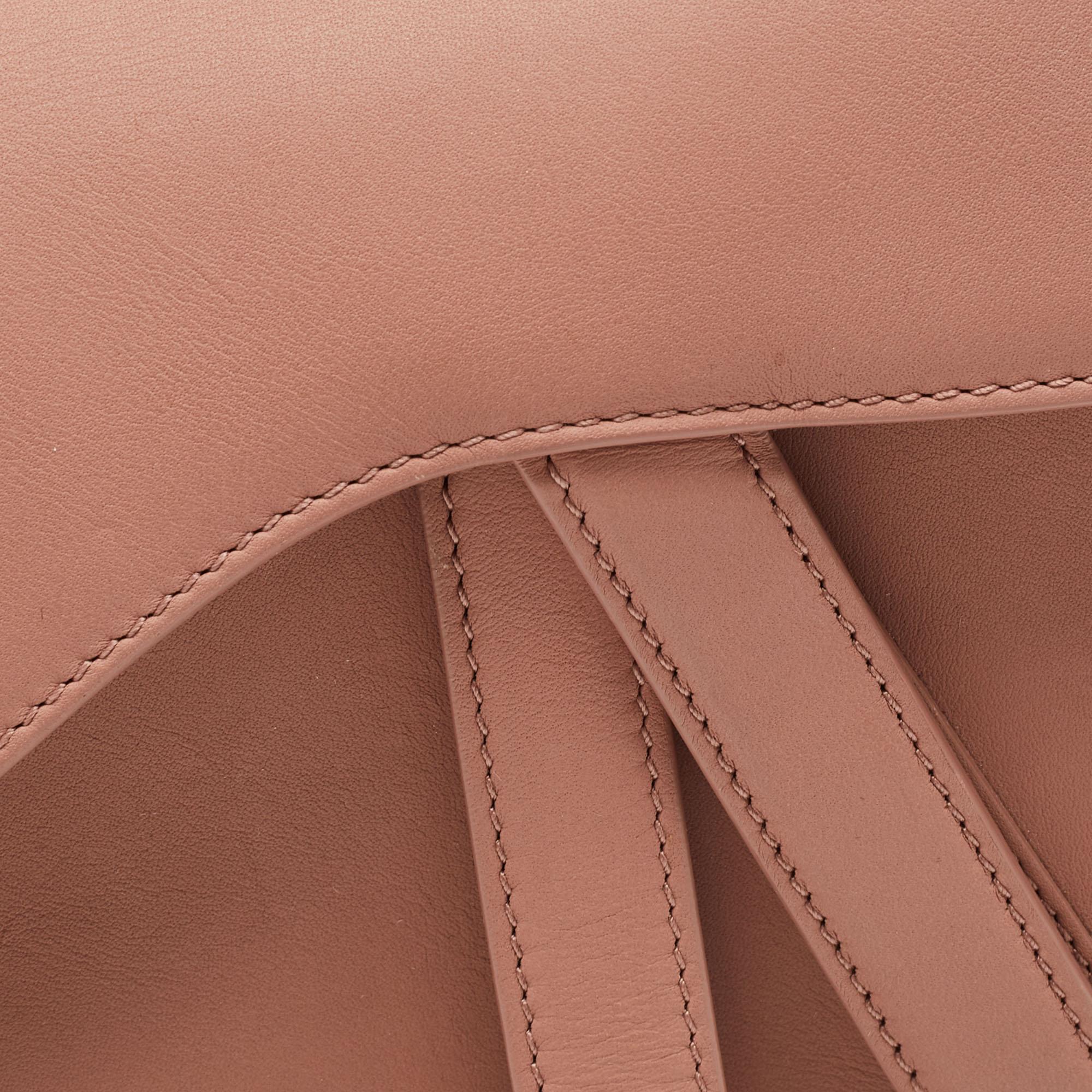 Dior Blush Beige Leather Ultramatte Saddle Shoulder Bag 1