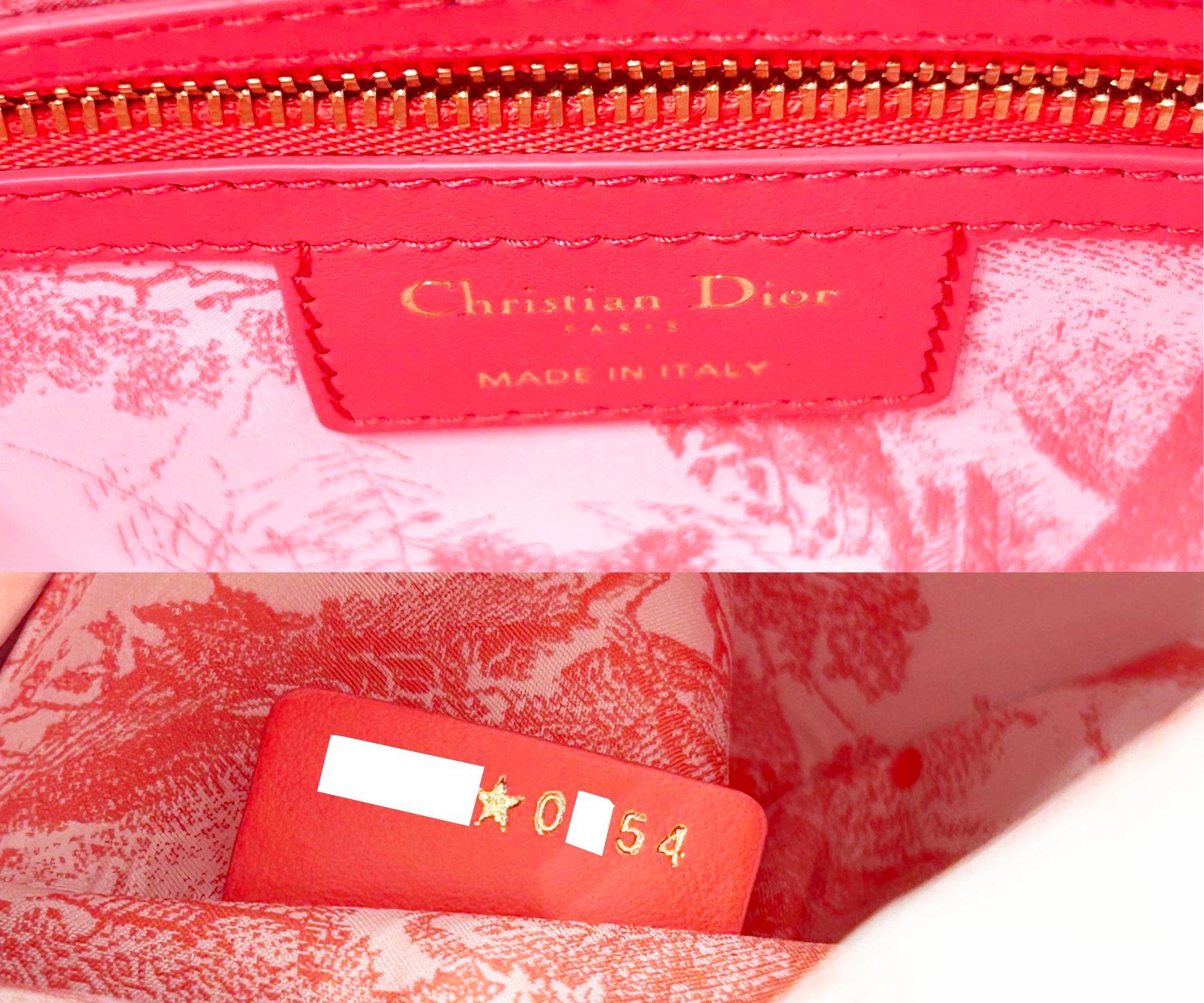 Dior Brand New Sold Out Diorviera Lady Dior Coral Medium Basket Crossbody Bag In New Condition For Sale In Pasadena, CA