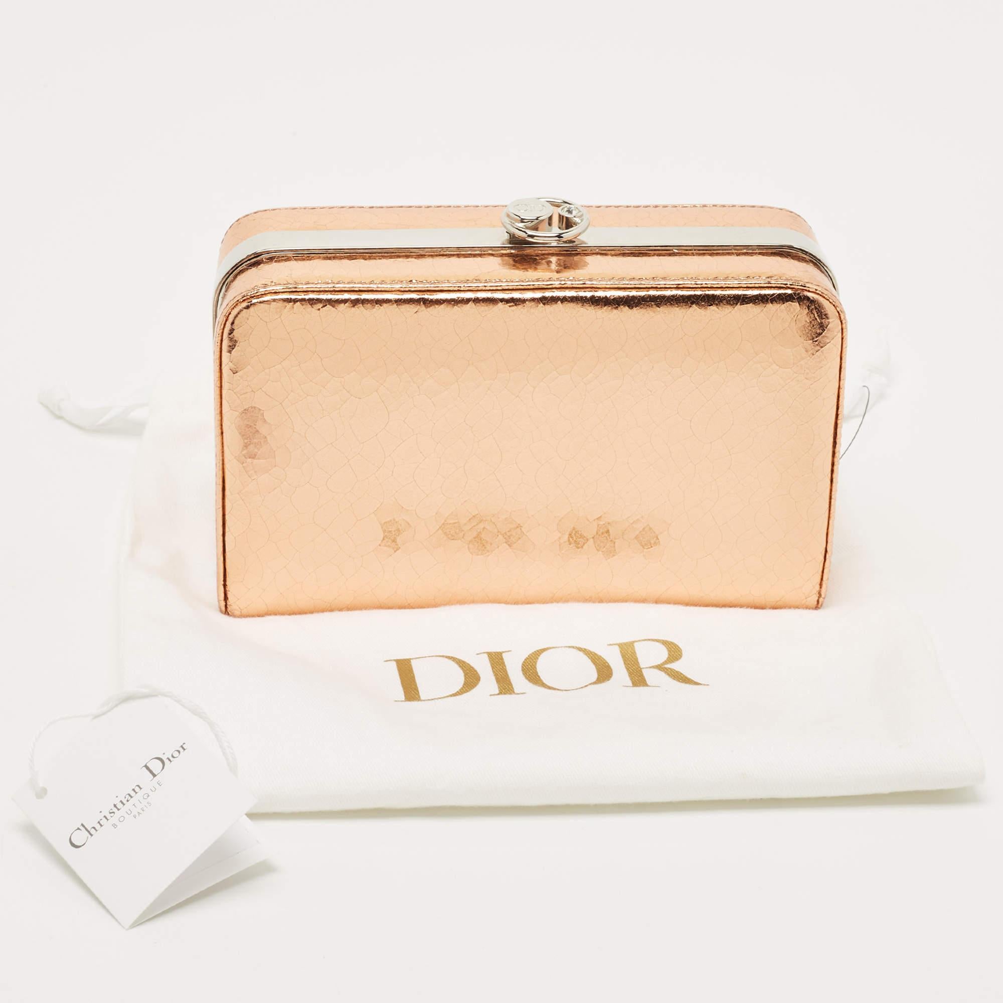 Dior Bronze Foil Leather Frame Clutch For Sale 9