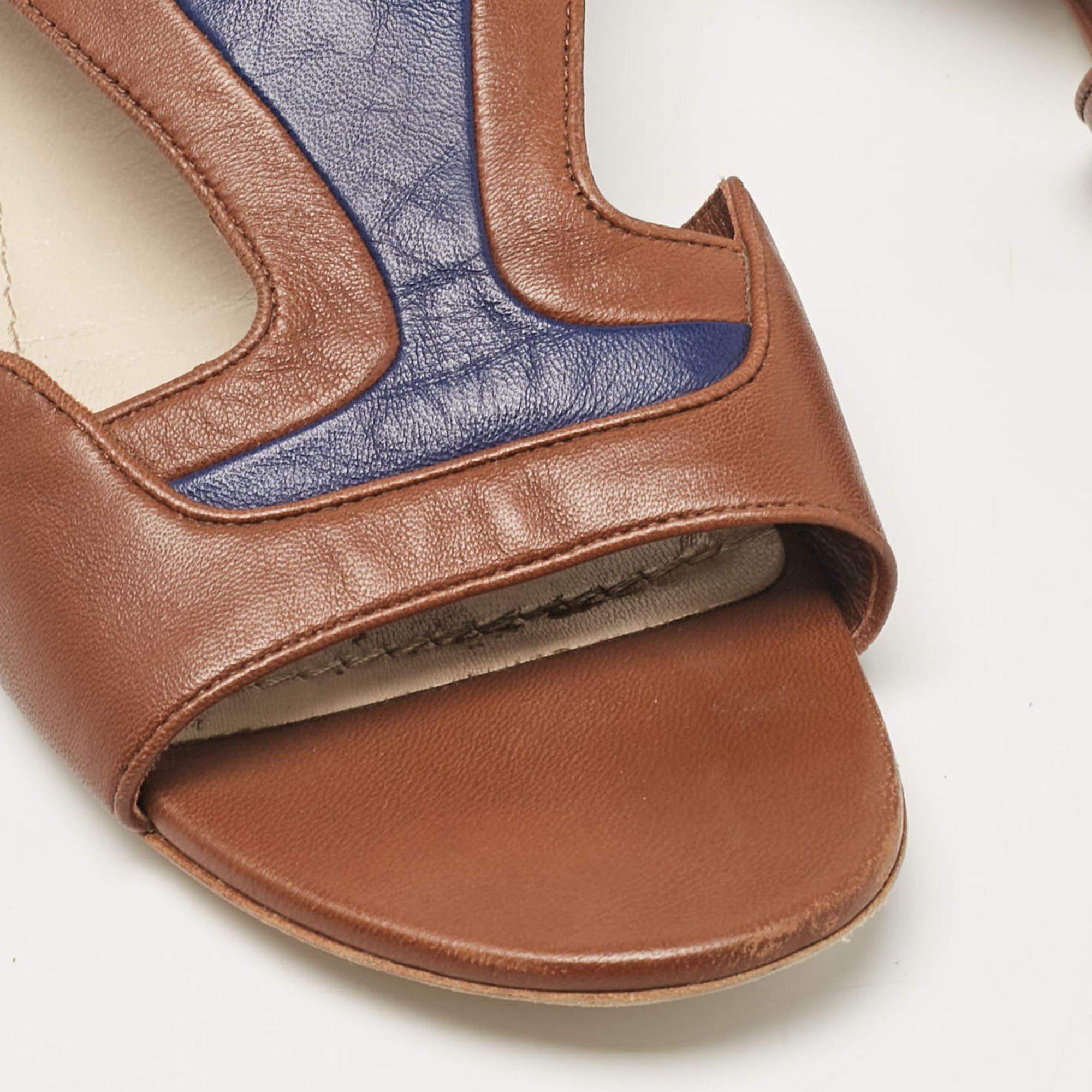 Dior Brown/Blue Leather Ankle Strap Flat Sandals Size 40.5 3