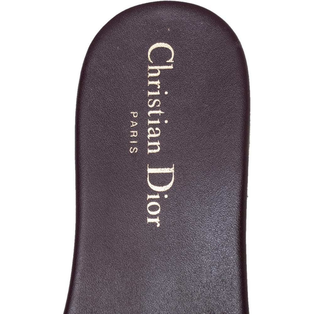 christian dior slides