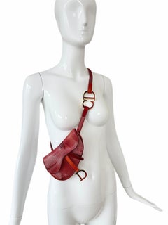 DIOR by JOHN GALLIANO 2001 Vintage Ombre Mini Crossbody Saddle Bag Purse