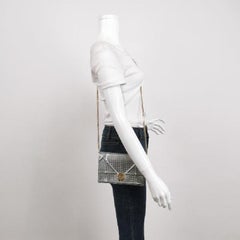 Dior Diorama Portemonnaie an Kette Mikro-cannage Silber Metallic Lackledertasche