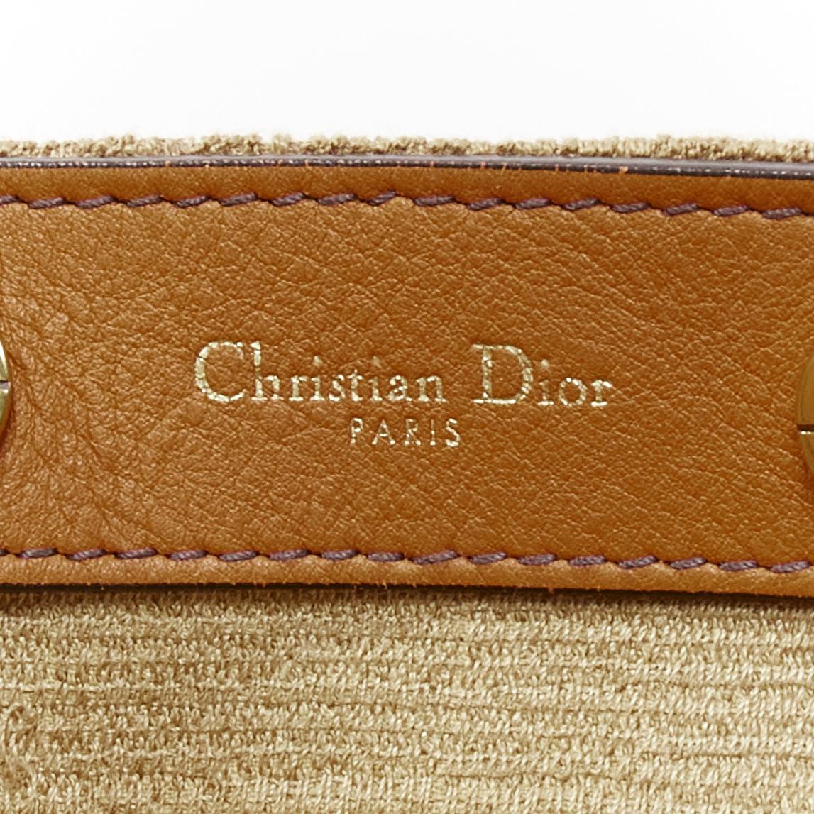 DIOR DiorAvenue Sauvage Special Edition brown logo canvas embroidery hobo bag 5