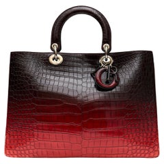 Dior Diorissimo Ombre Tote