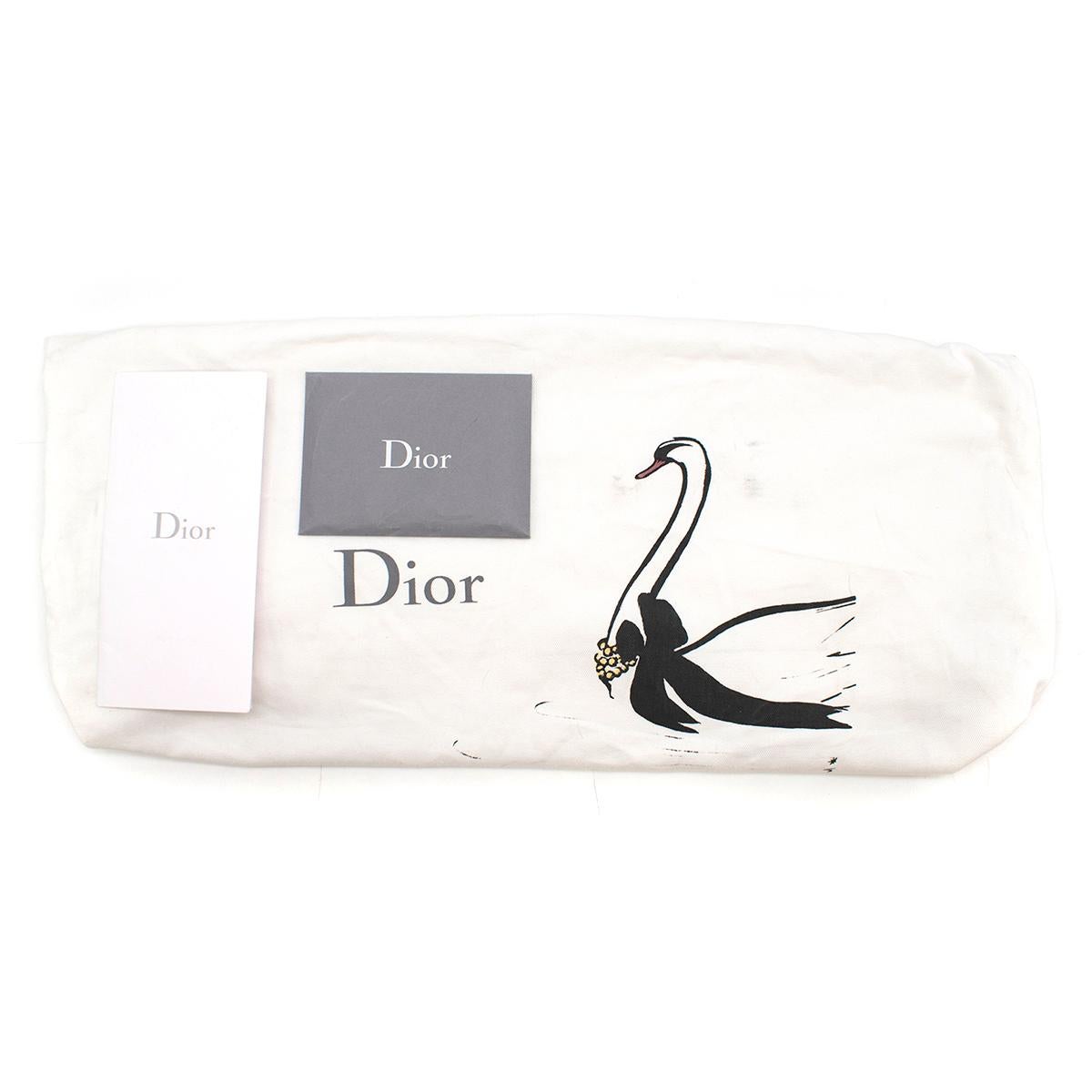 Dior Embroidered Canvas Book Tote Bag 2