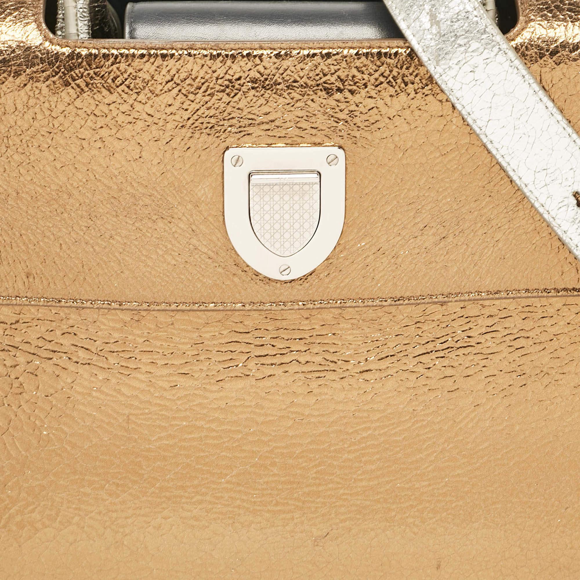 Dior Gold/Silber Keramik-Ledertasche Medium Diorever Top Handle Bag mit Griff oben Damen