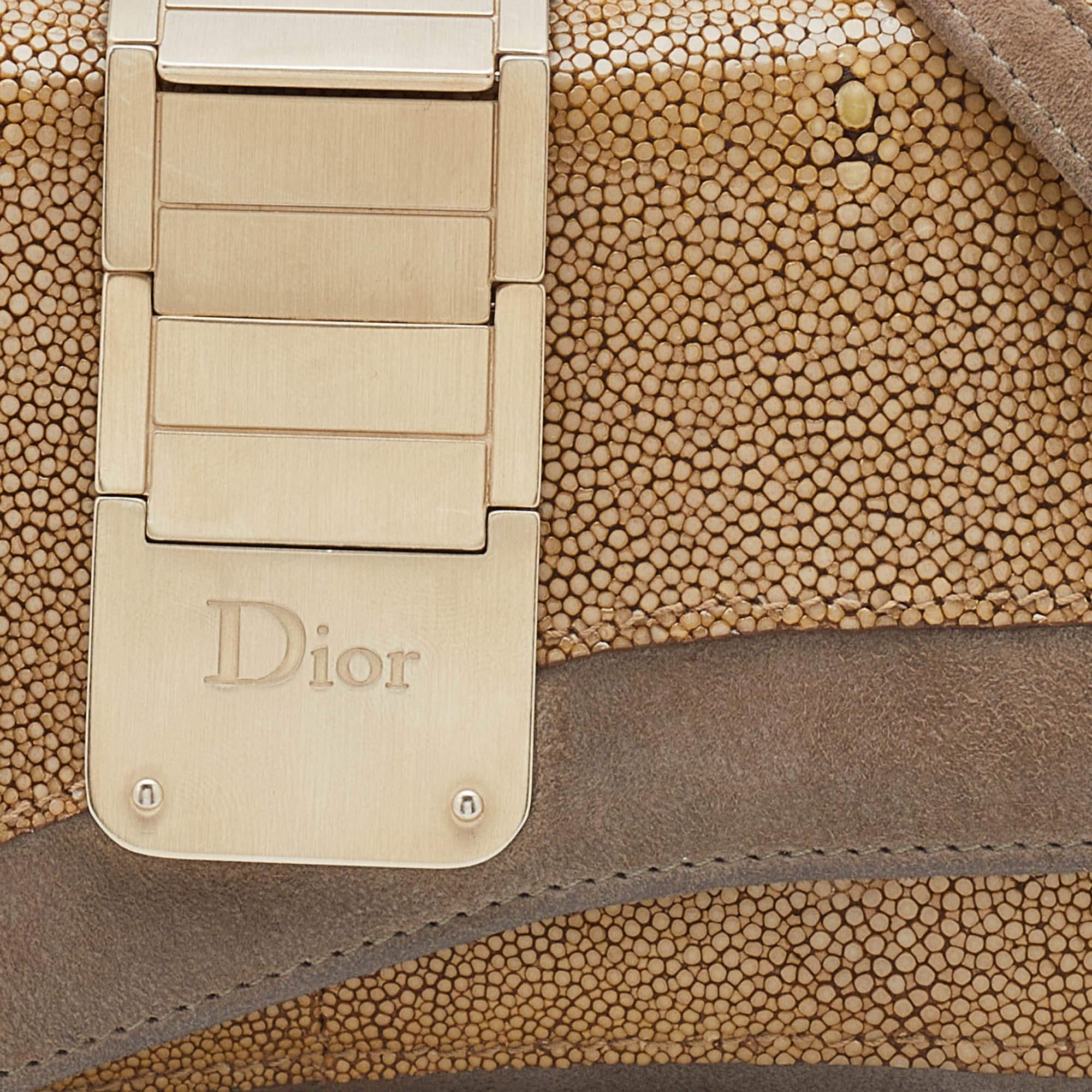 Dior Grey/Beige Stringray and Suede Flap Saddle Shoulder Bag (Sac à bandoulière à rabat en daim et galuchat) 3