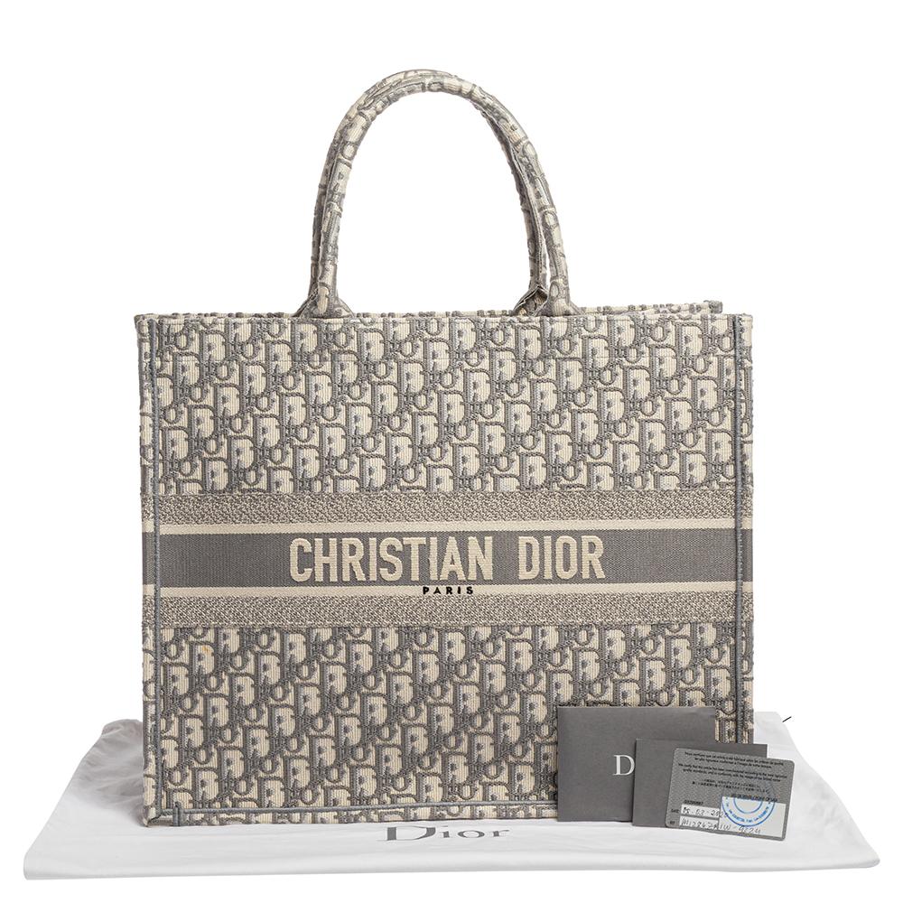 Tote libro in tela grigia obliqua Dior 10