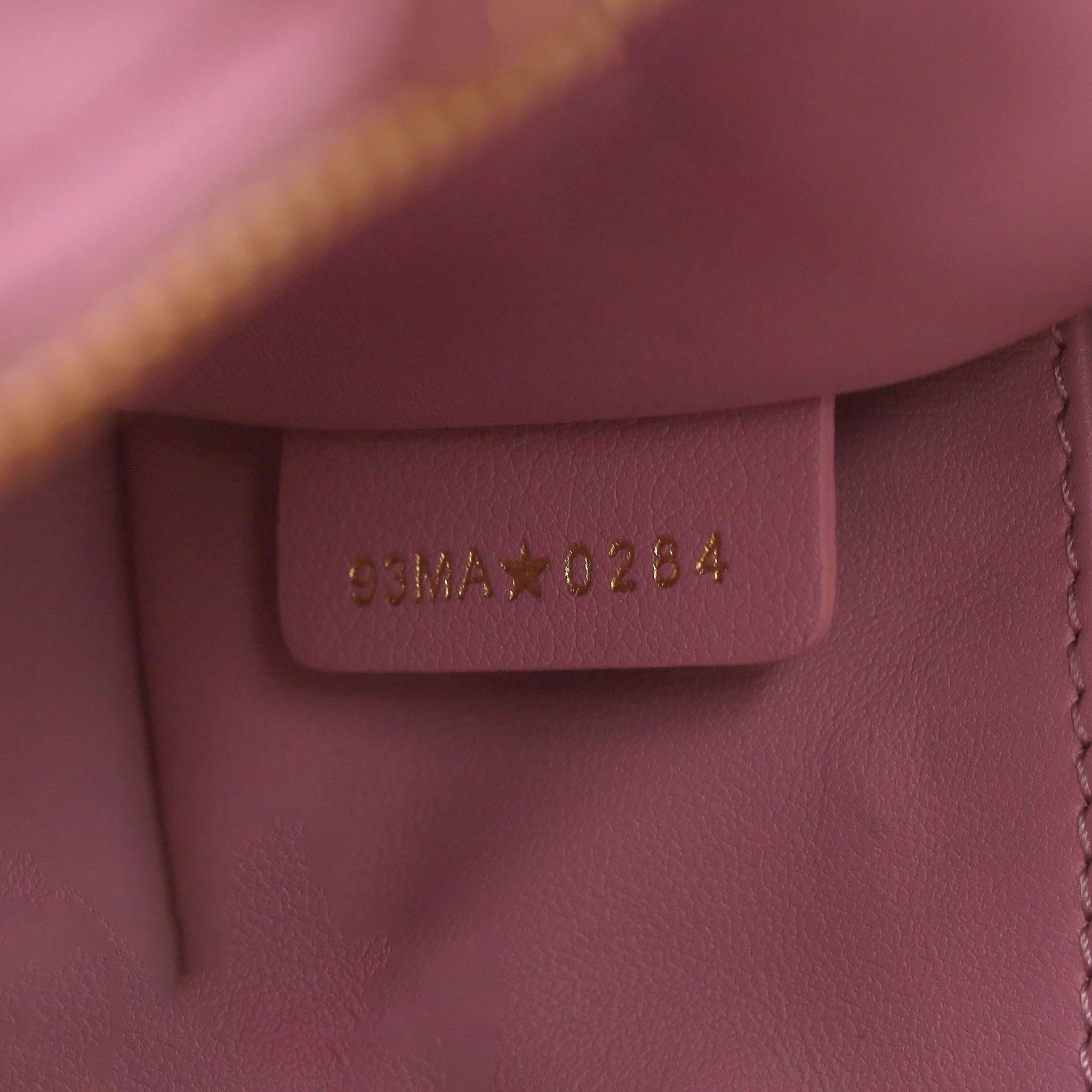 Dior Groove 17 Nano Calfskin Leather Bag 5