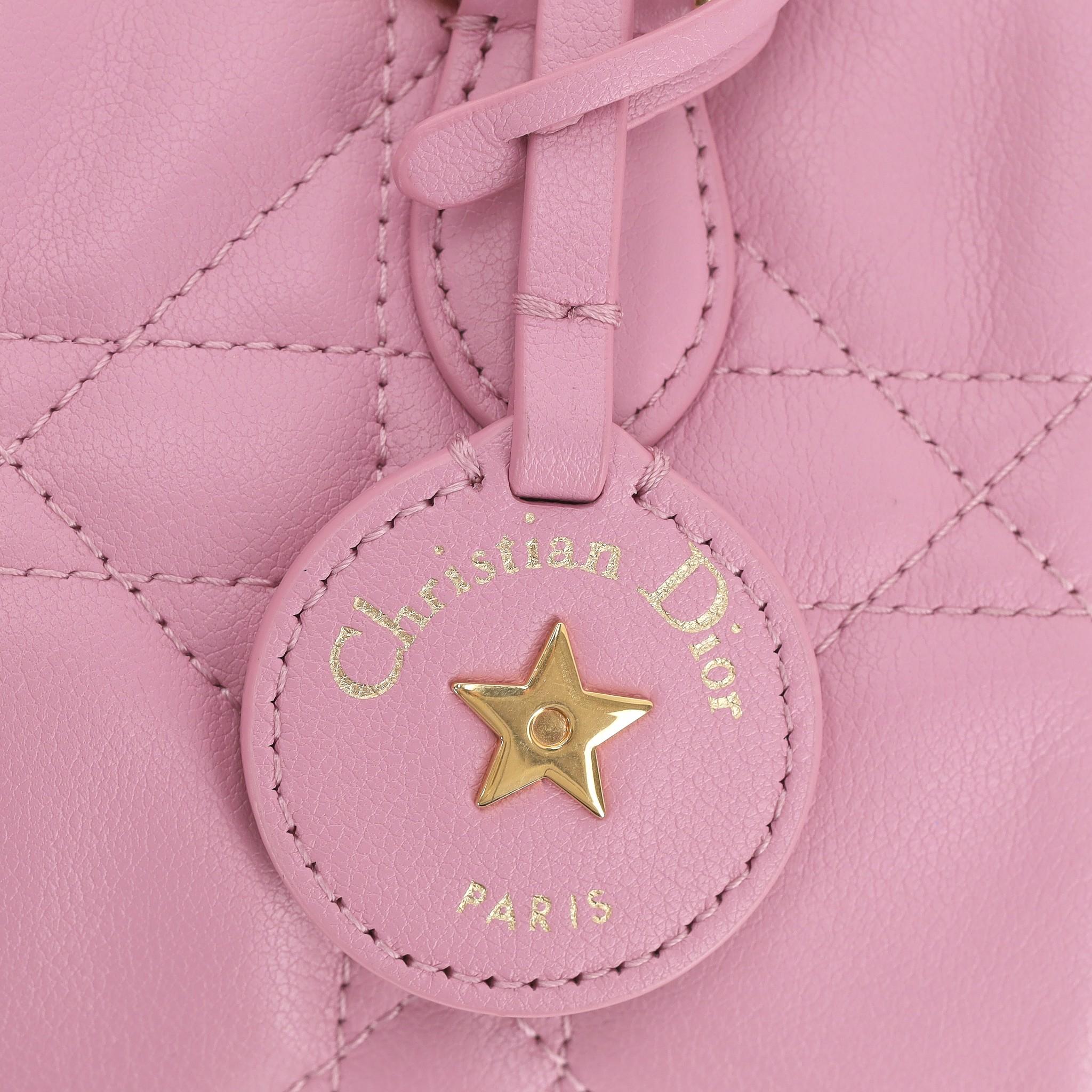 Dior Groove 17 Nano Calfskin Leather Bag 2