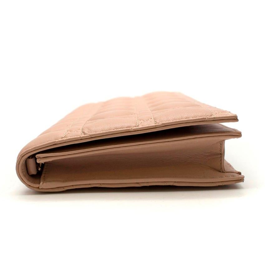 nude clutch purse
