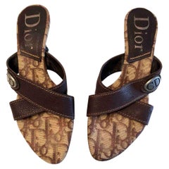 Dior Leather Sandals in Brown