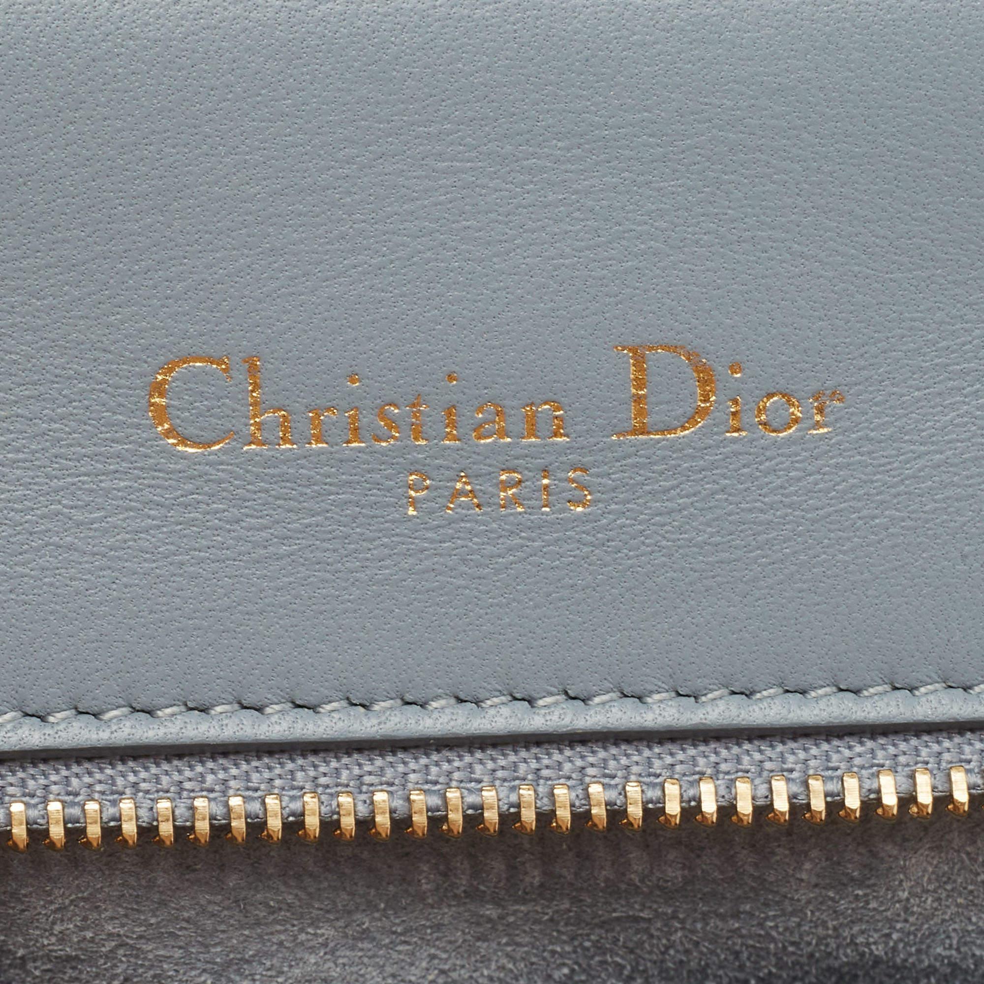 Dior Light Blue Soft Leather Small Diorama Shoulder Bag 5