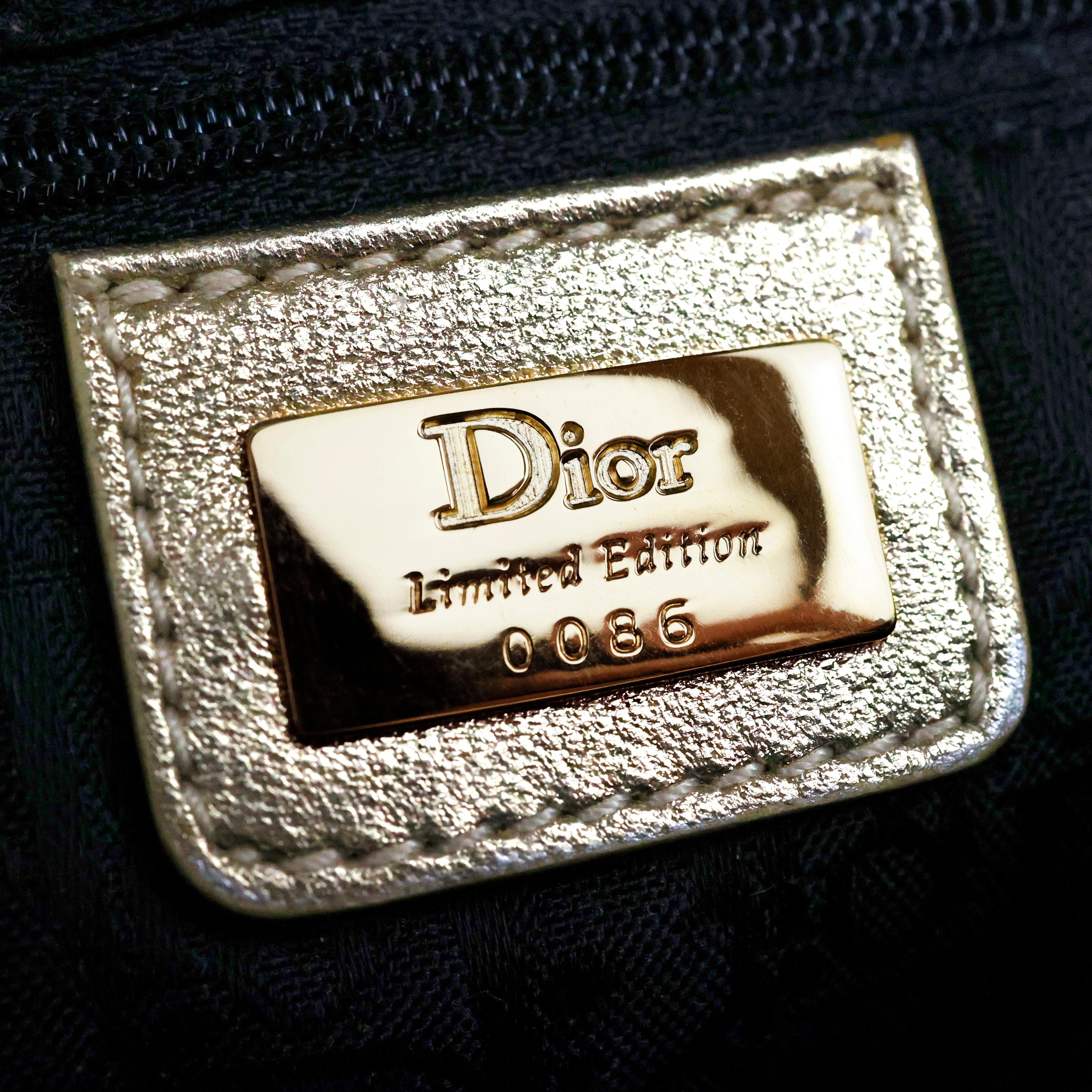 Dior Limited Edition Embellished Saddle Bag For Sale 4