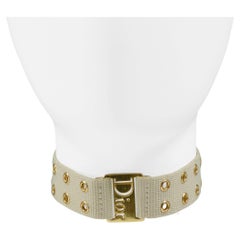Dior Logo Khaki Choker Necklace