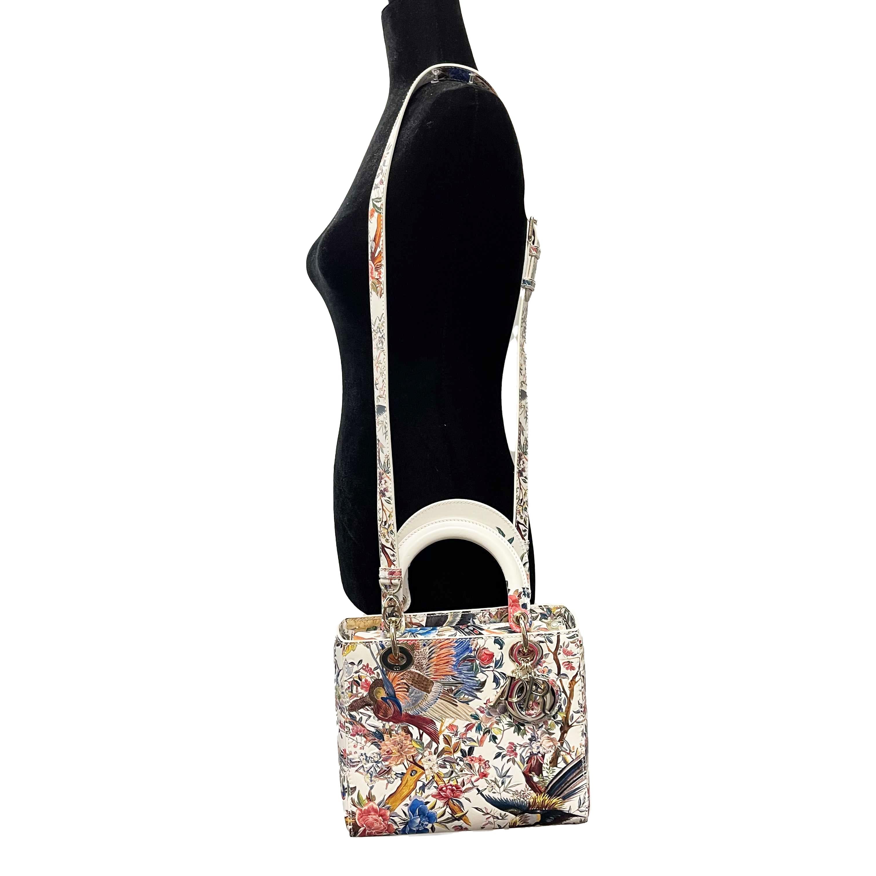Dior - Medium Lady Dior - Jardin D'Hiver Hand Painted Leather - Top Handle Strap 2