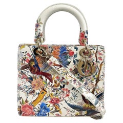 Dior - Medium Lady Dior - Jardin D'Hiver Hand Painted Leather - Top Handle Strap