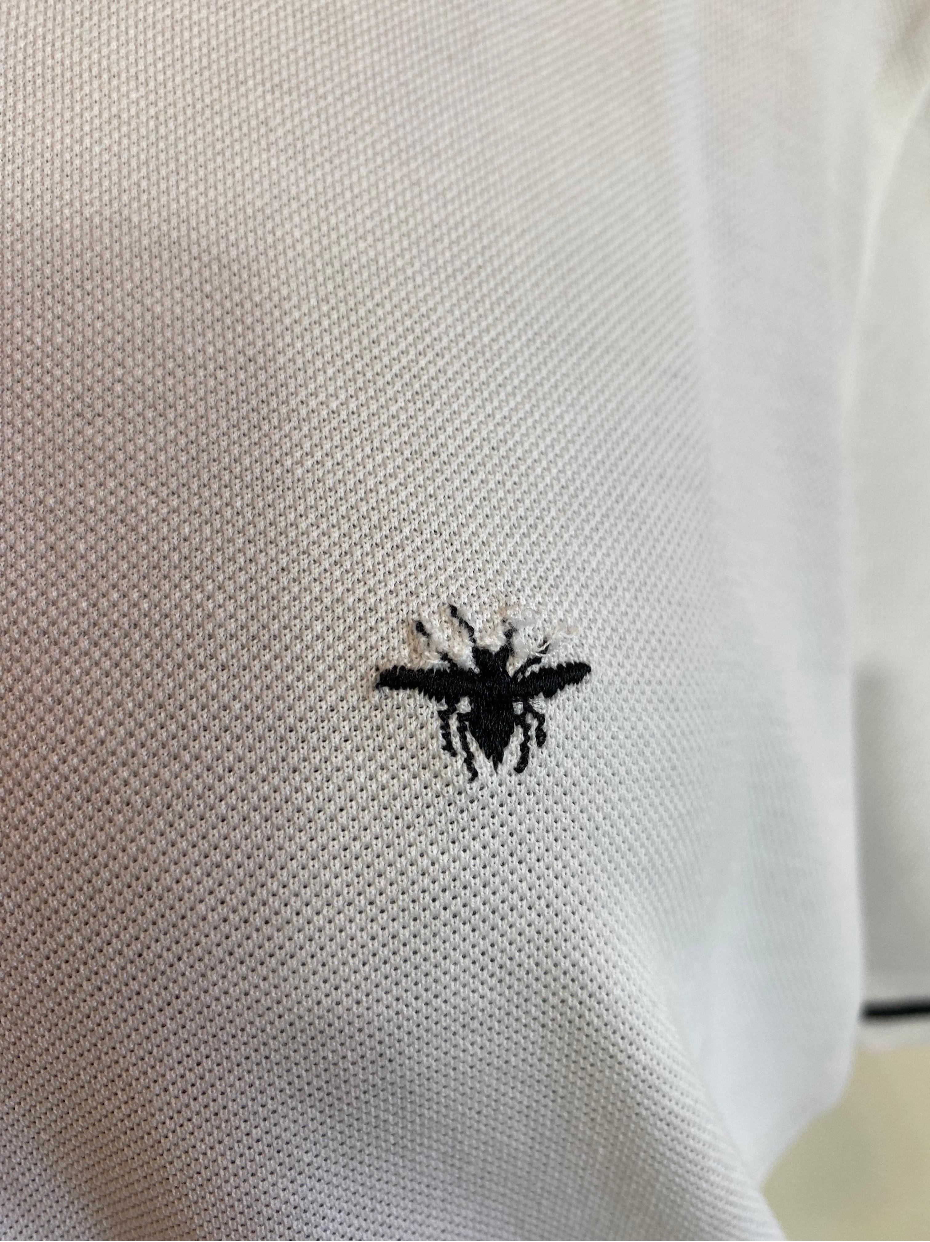 Gris Polo Dior homme collection Ape
Collection d'abeilles.